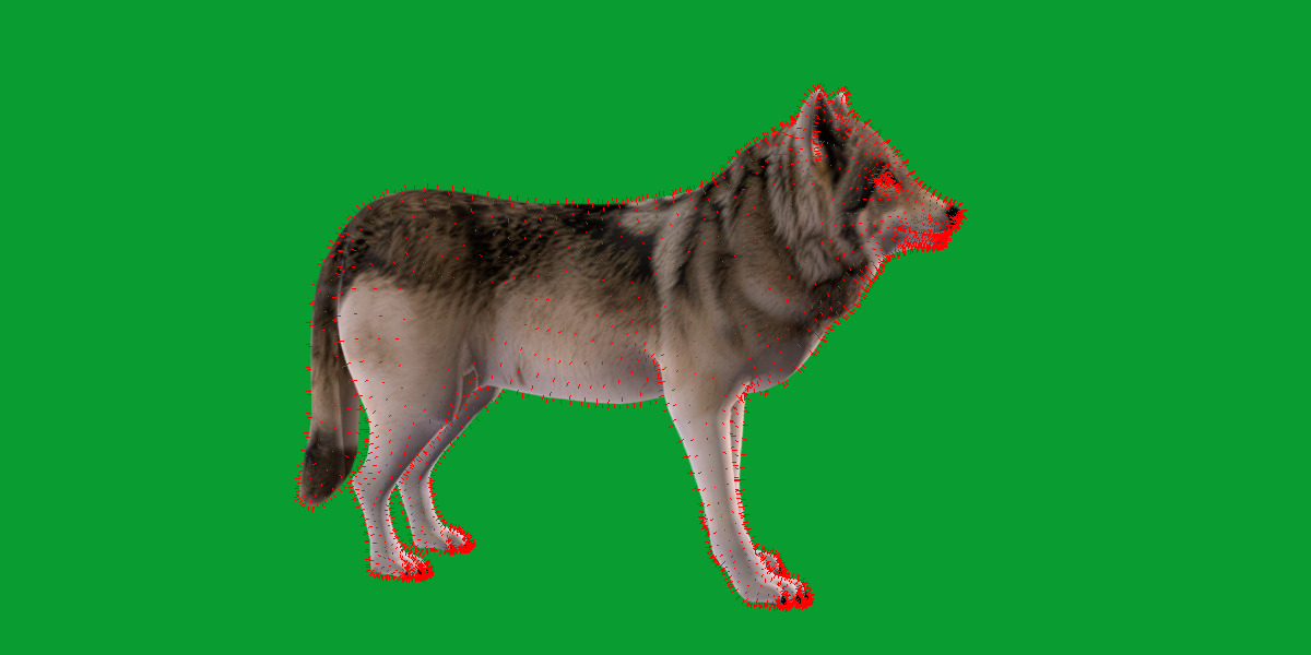 The Grey Wolf Low-poly 3D model_11