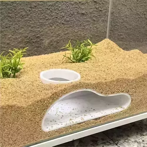 Tunel para peces 4 - acuario - pecera