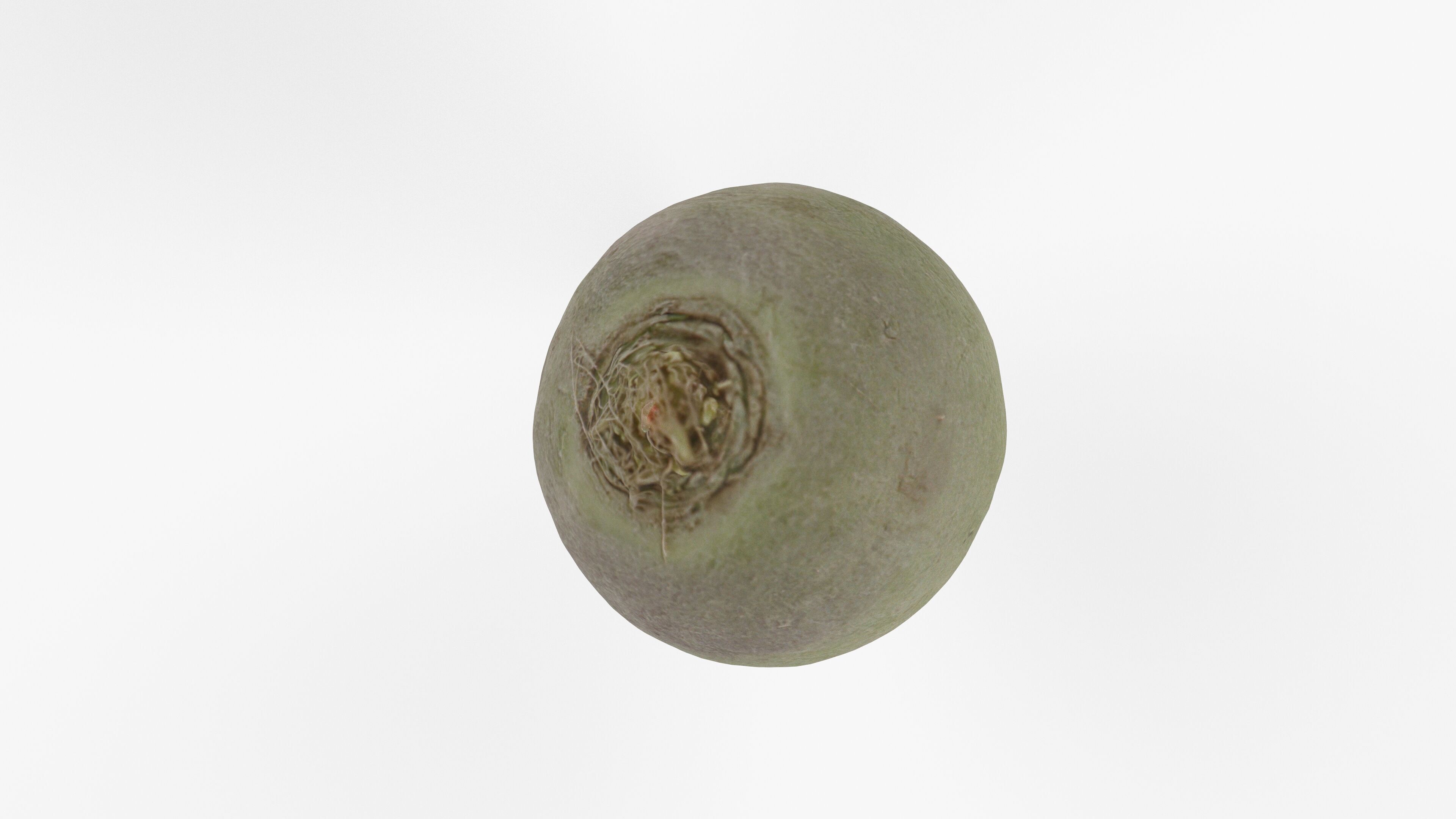 Photorealistic 3D scan of green radish Low-poly 3D model_11