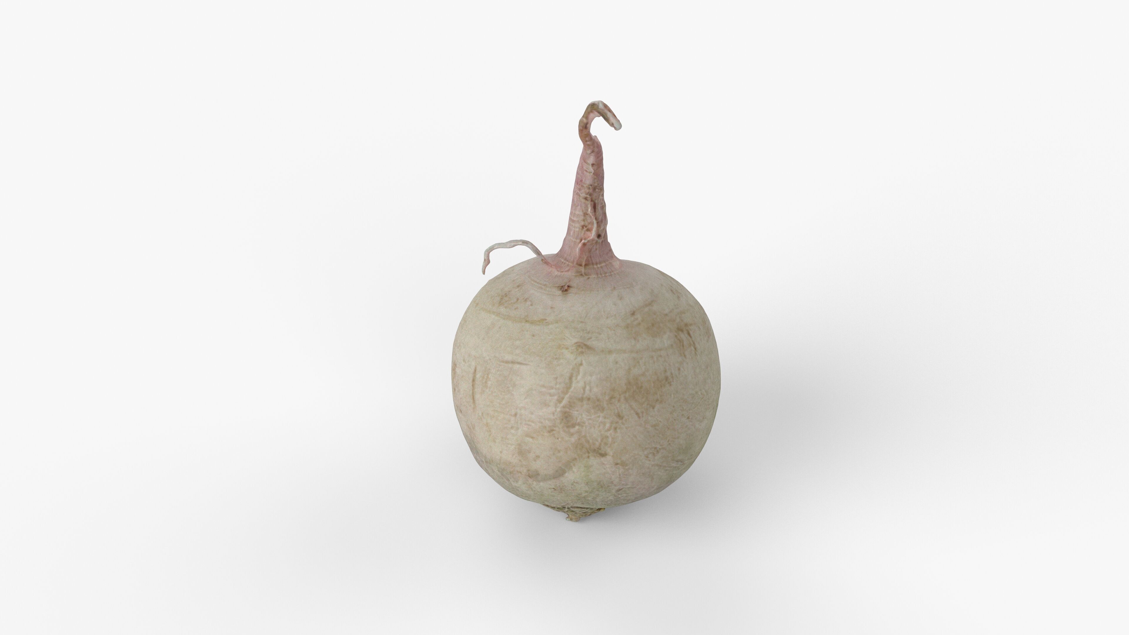 Photorealistic 3D scan of green radish Low-poly 3D model_1