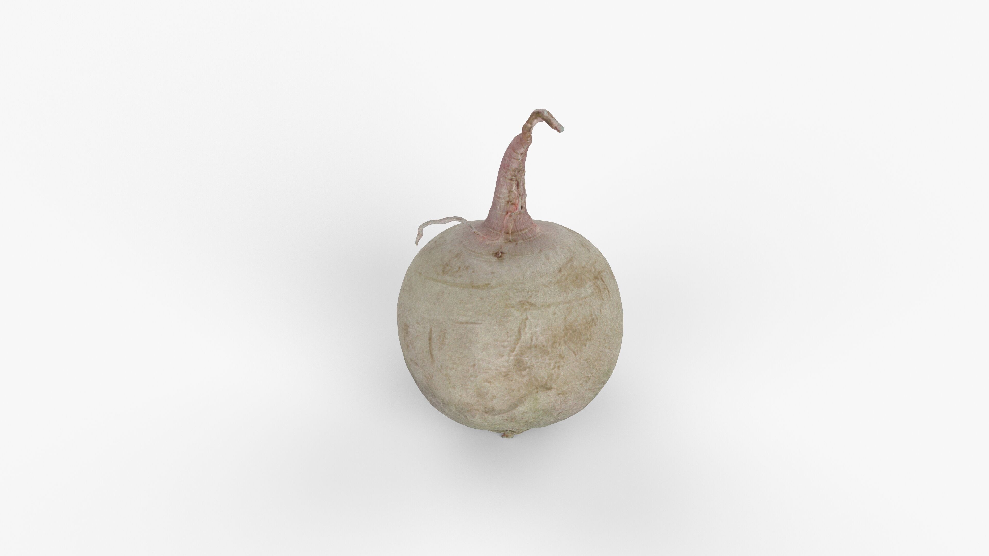 Photorealistic 3D scan of green radish Low-poly 3D model_6