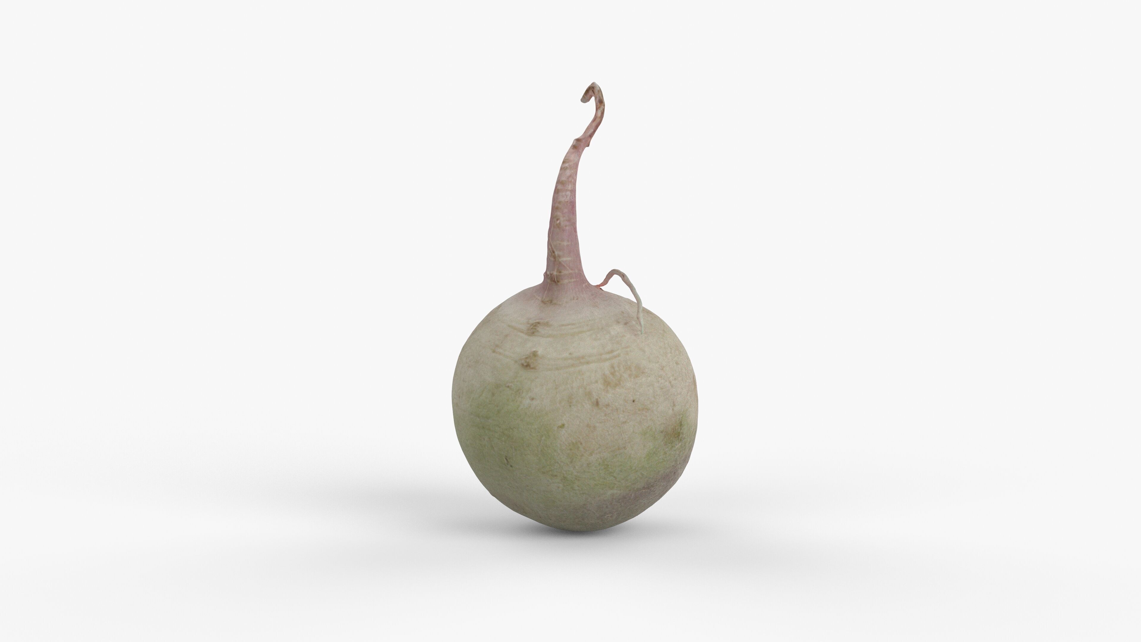 Photorealistic 3D scan of green radish Low-poly 3D model_13