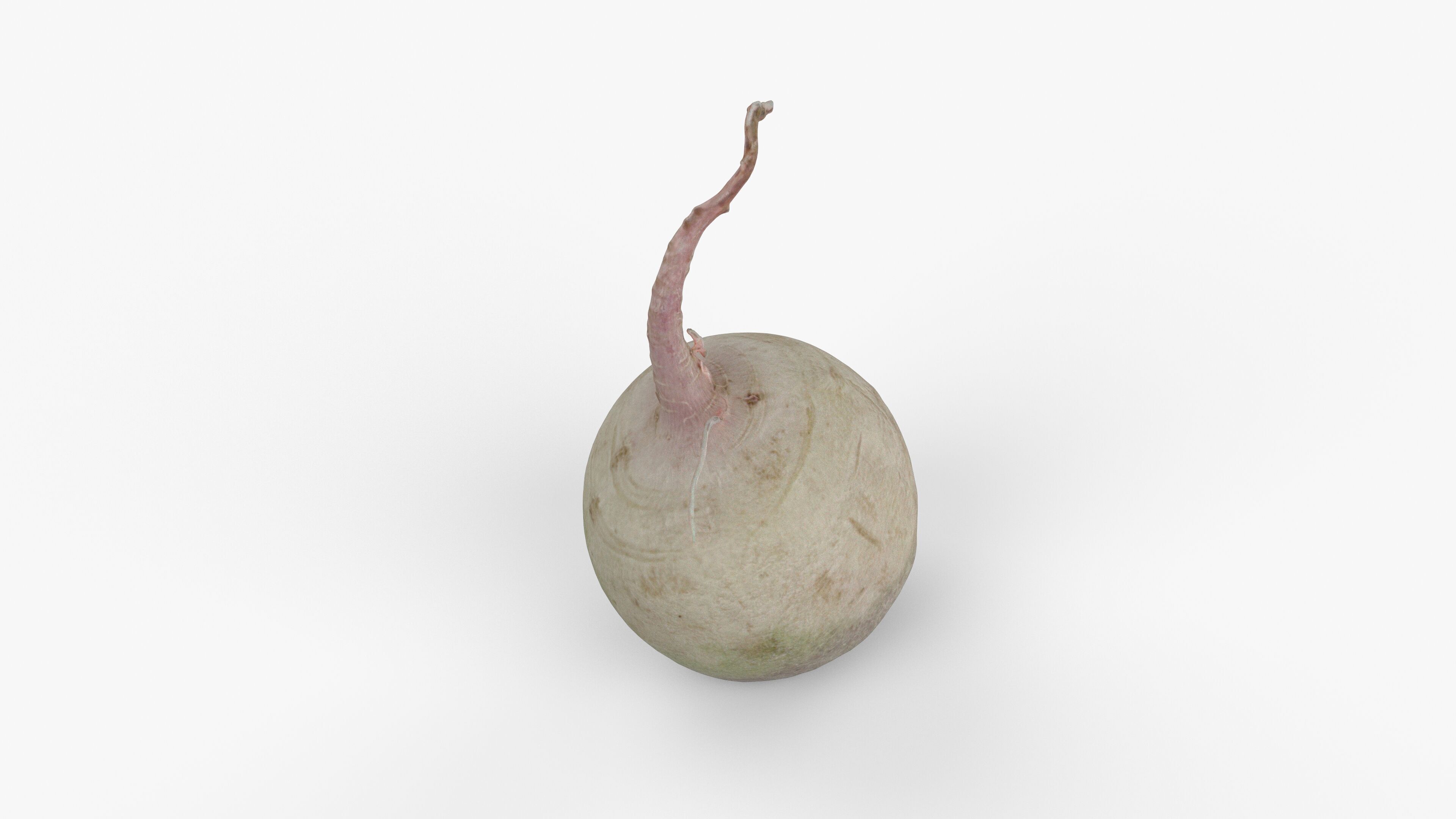 Photorealistic 3D scan of green radish Low-poly 3D model_8