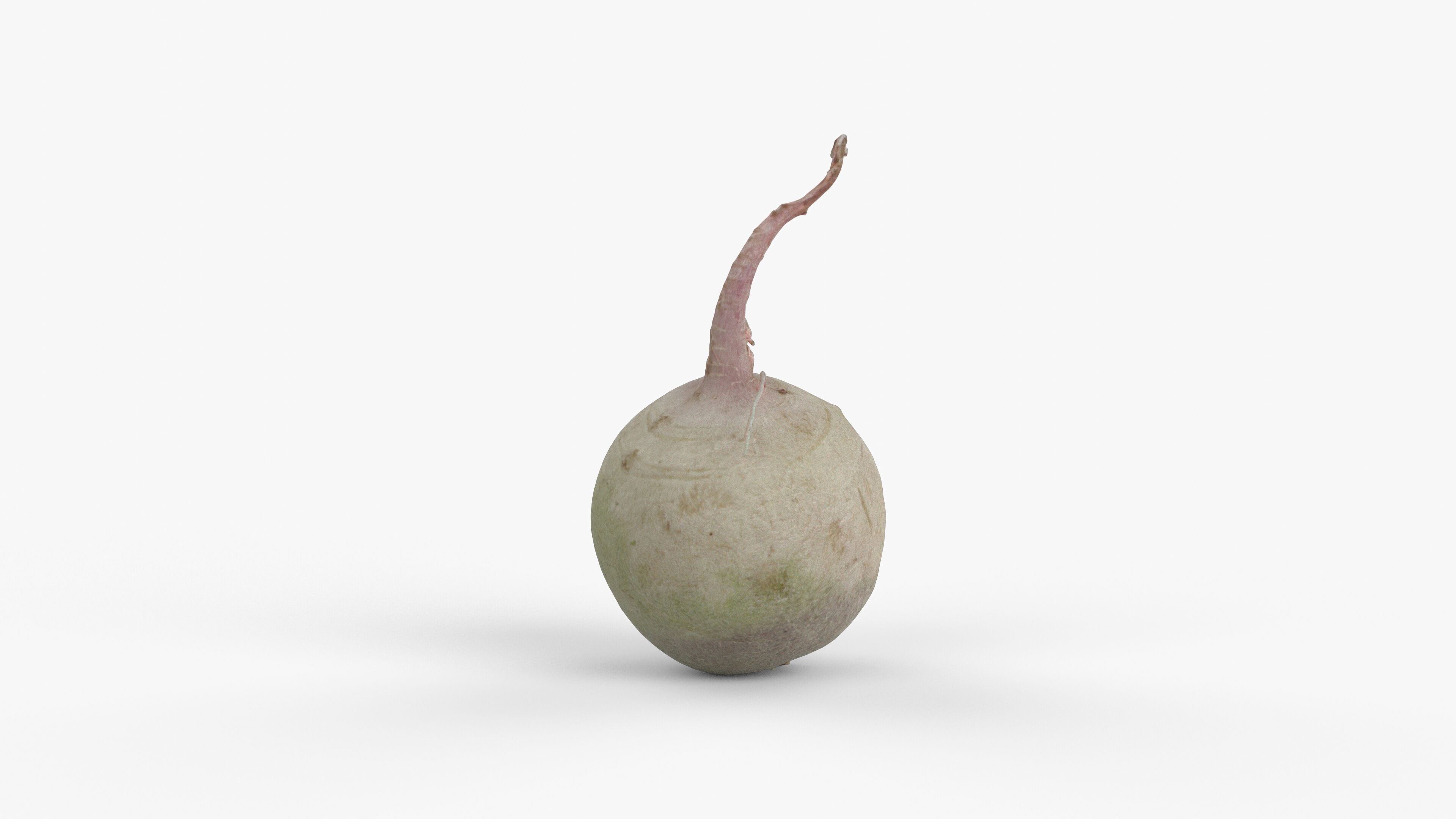Photorealistic 3D scan of green radish Low-poly 3D model_4
