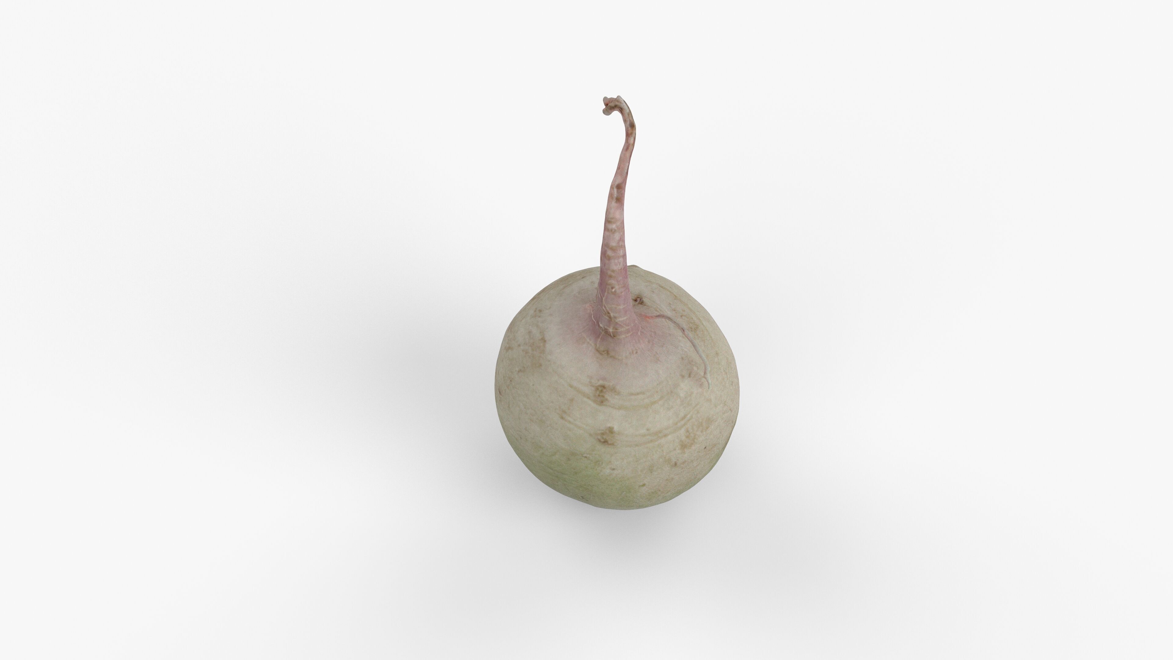 Photorealistic 3D scan of green radish Low-poly 3D model_9