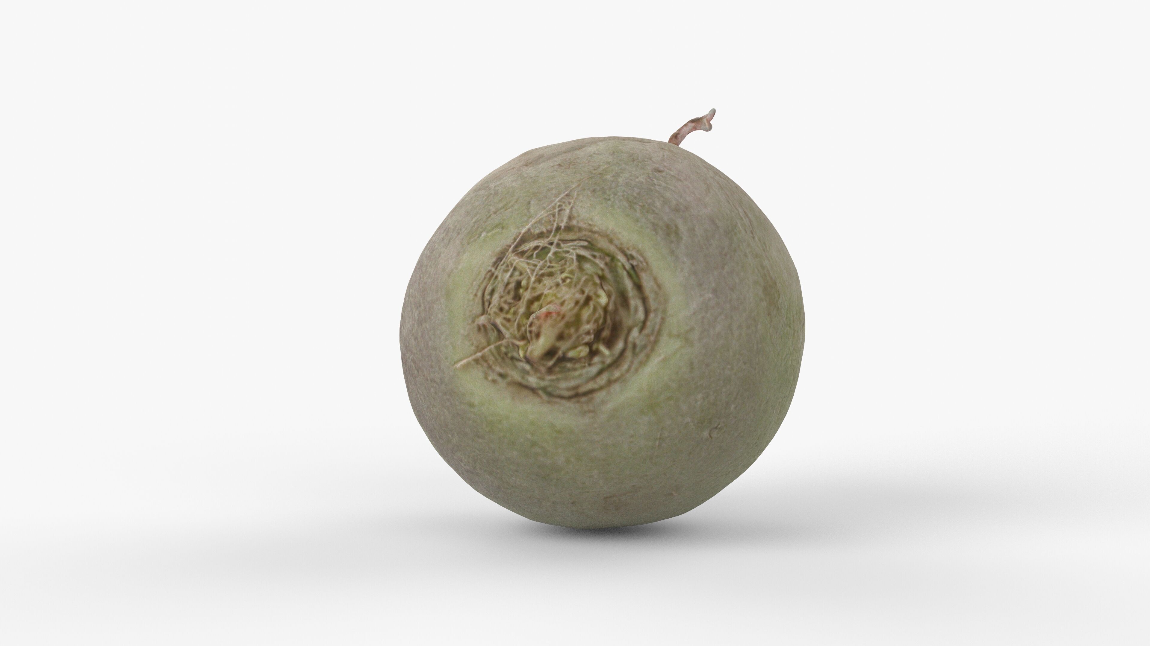 Photorealistic 3D scan of green radish Low-poly 3D model_3