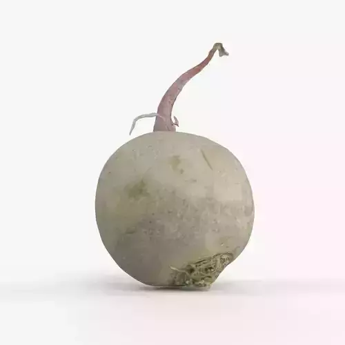 Photorealistic 3D scan of green radish Low-poly 3D model