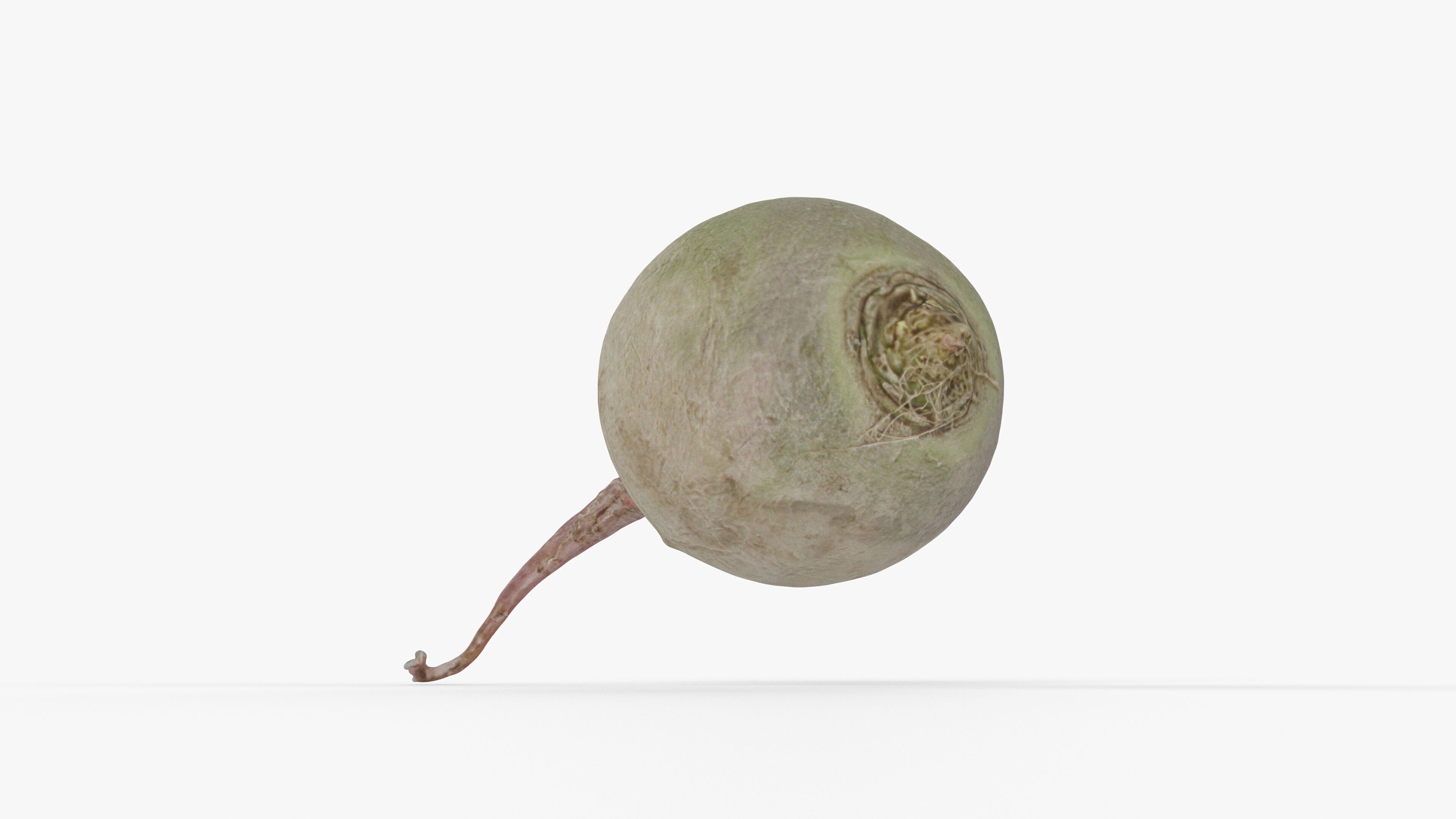 Photorealistic 3D scan of green radish Low-poly 3D model_12