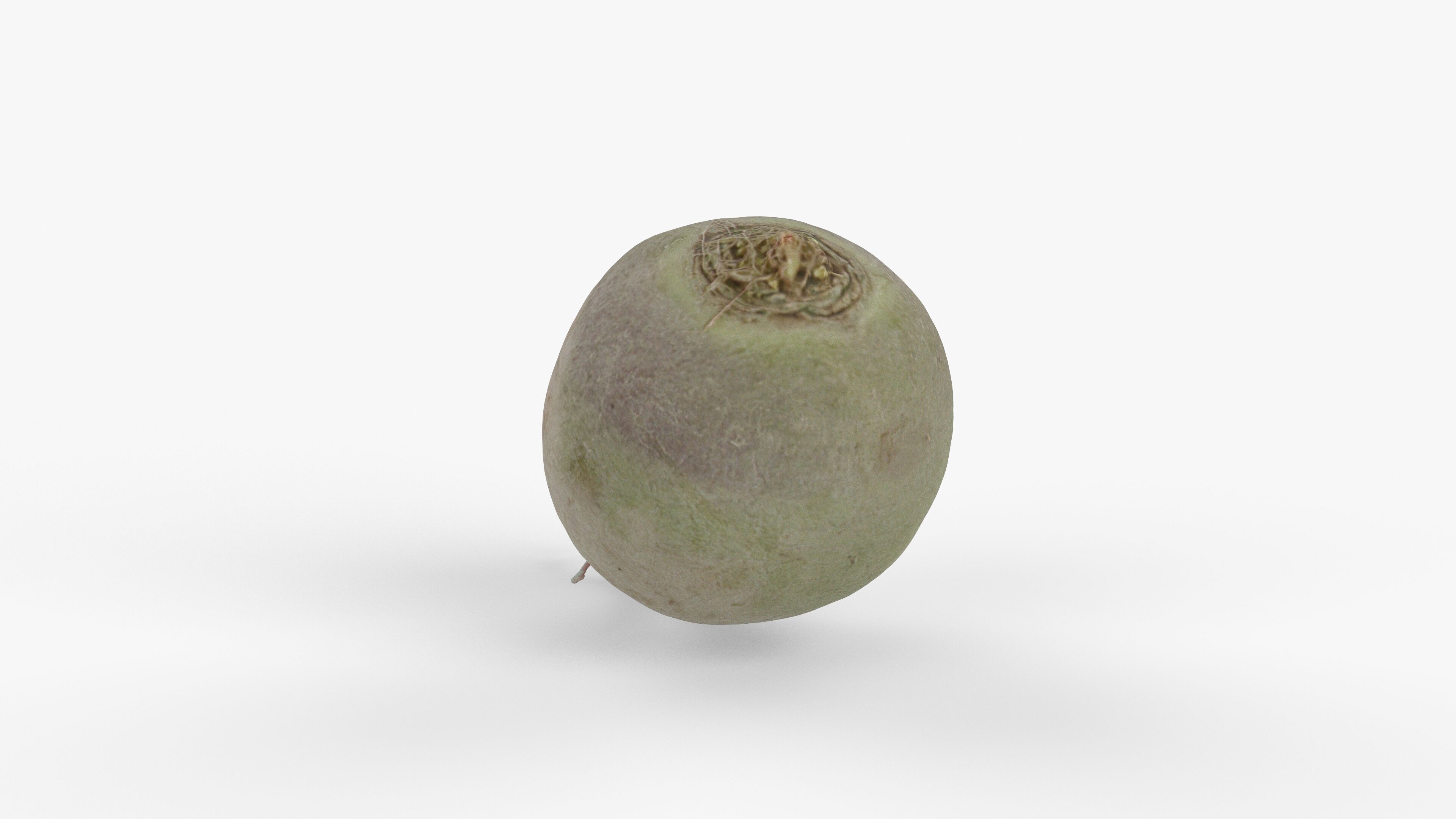 Photorealistic 3D scan of green radish Low-poly 3D model_7