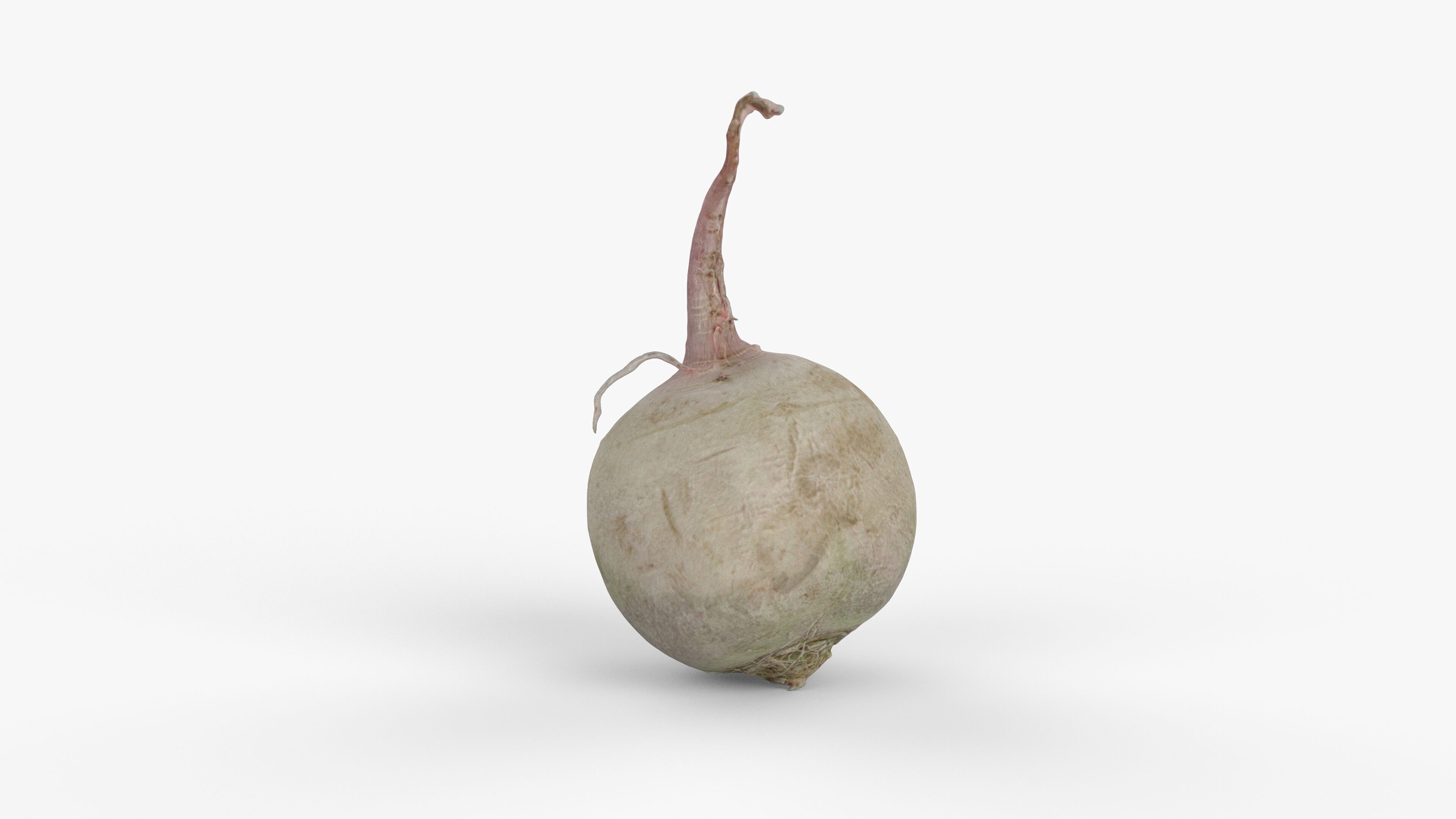 Photorealistic 3D scan of green radish Low-poly 3D model_2