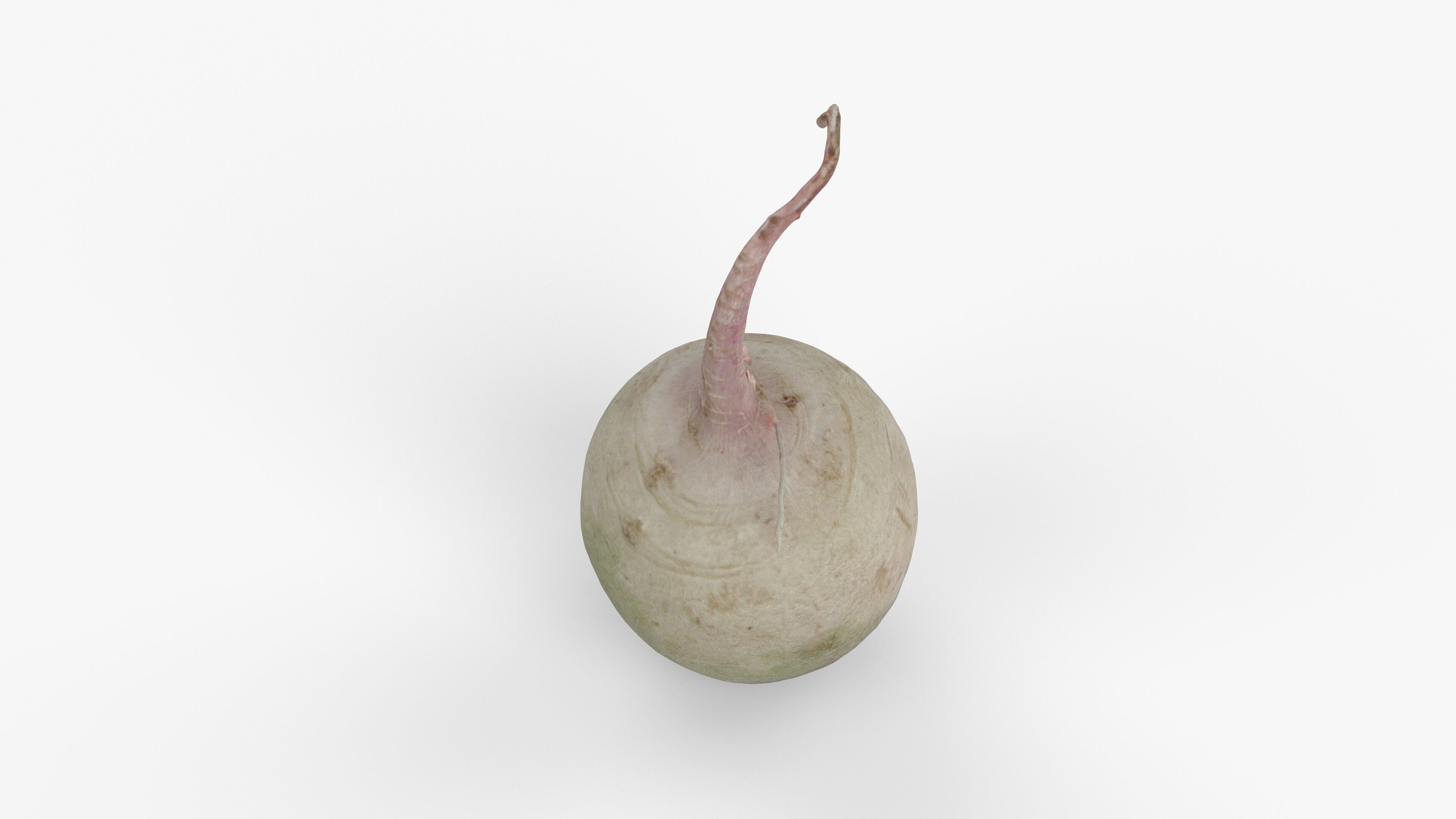 Photorealistic 3D scan of green radish Low-poly 3D model_10