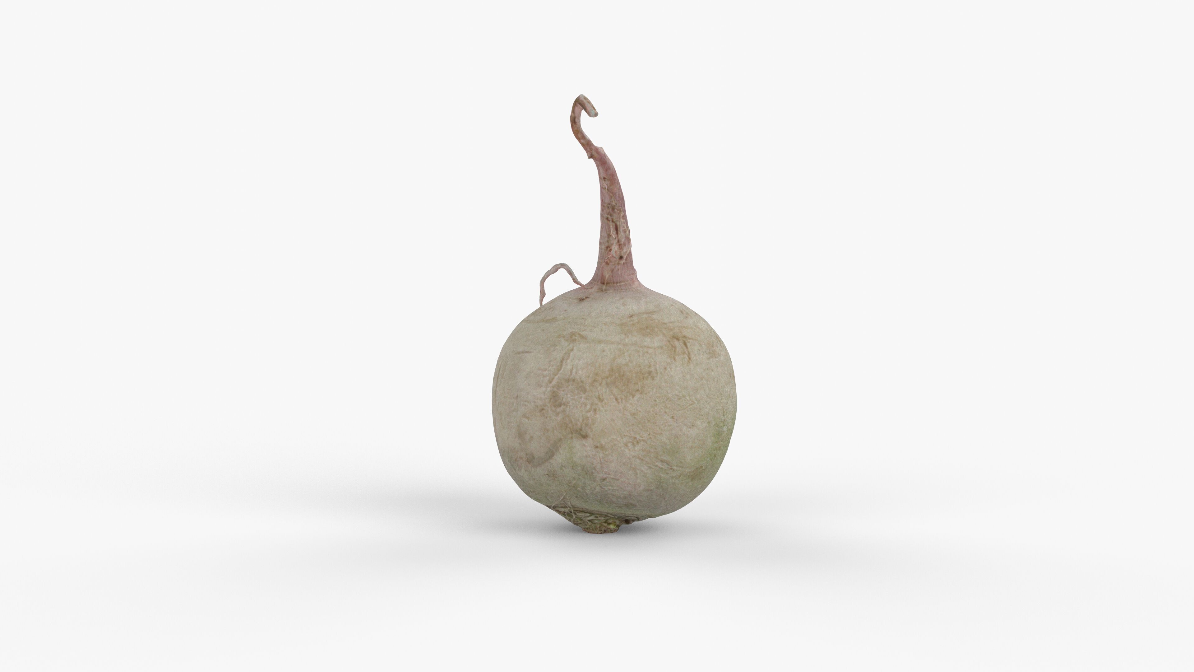Photorealistic 3D scan of green radish Low-poly 3D model_5