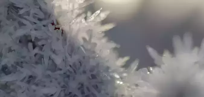 Snow Crystals Pack Low-poly 3D model