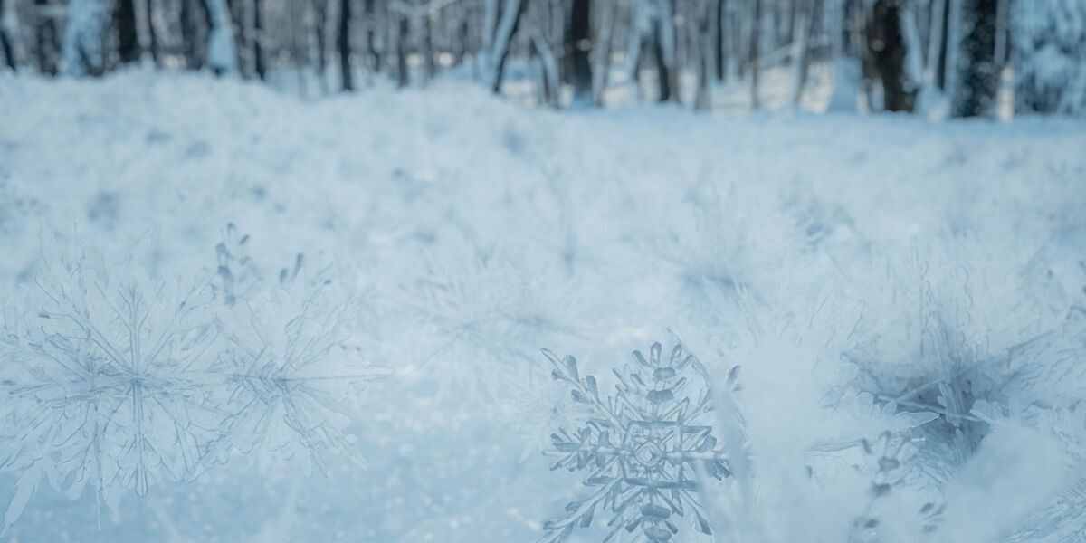 Snow Crystals Pack Low-poly 3D model_5