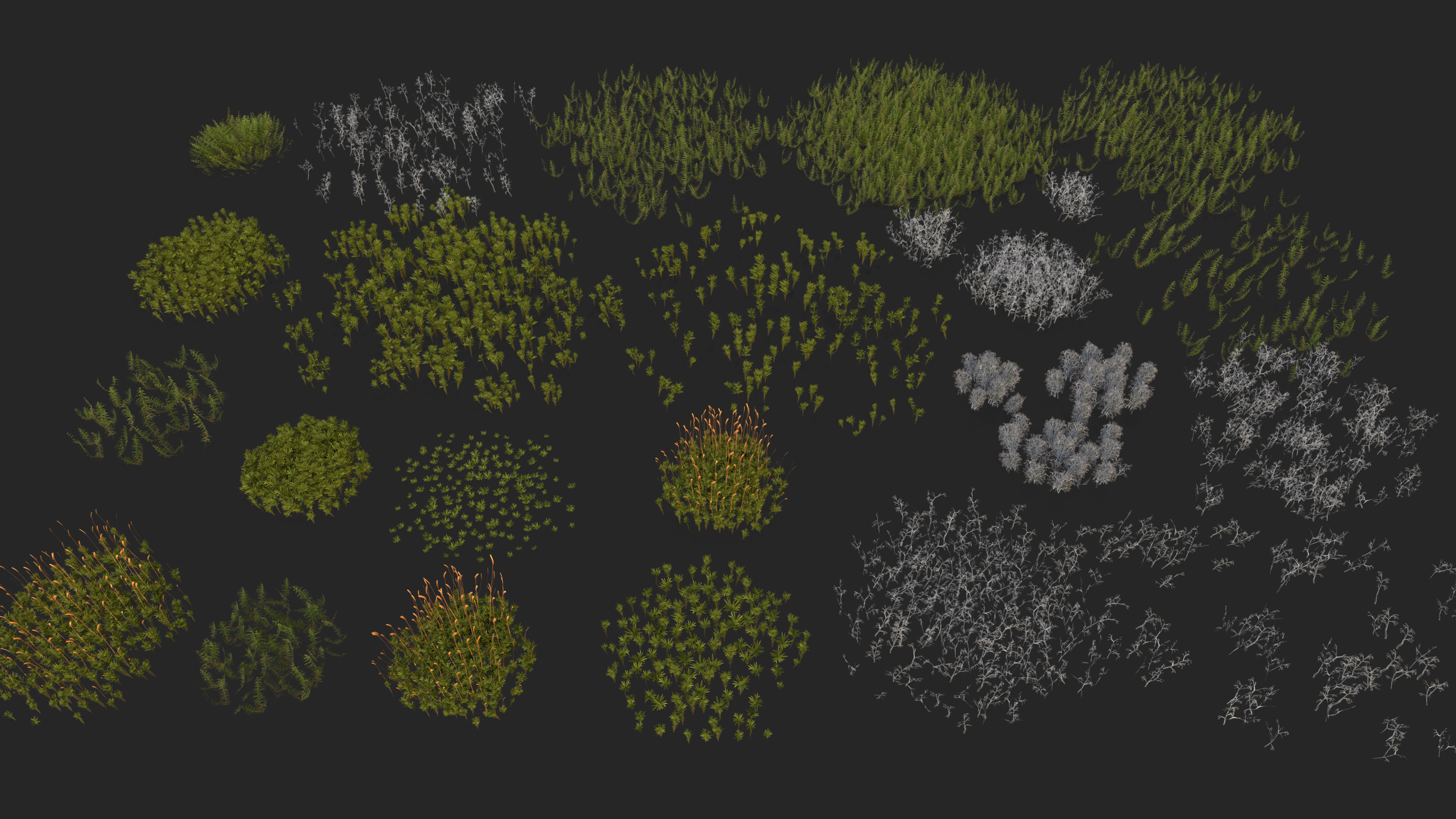 Moss and lichens Low-poly 3D model_3