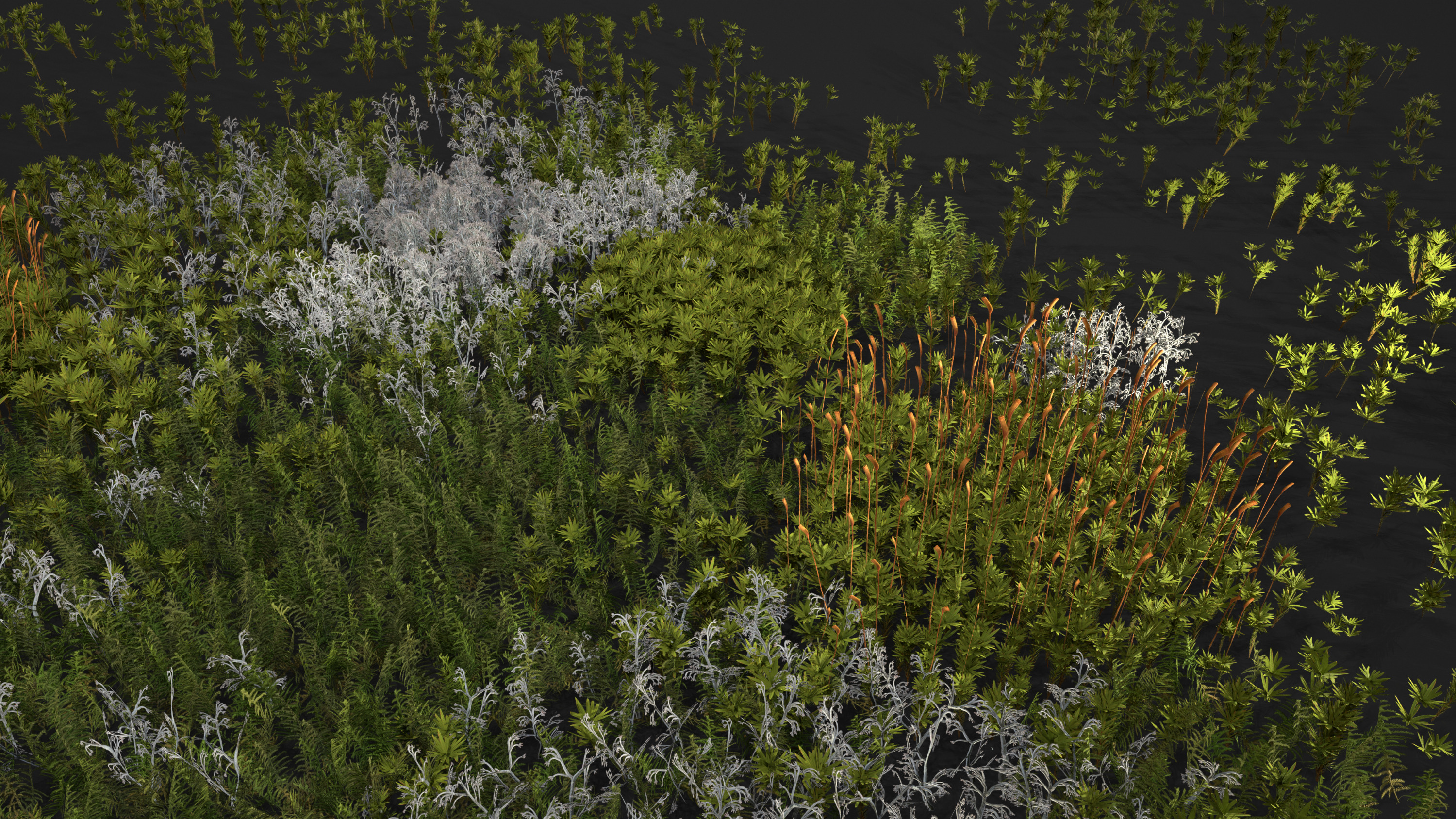 Moss and lichens Low-poly 3D model_1