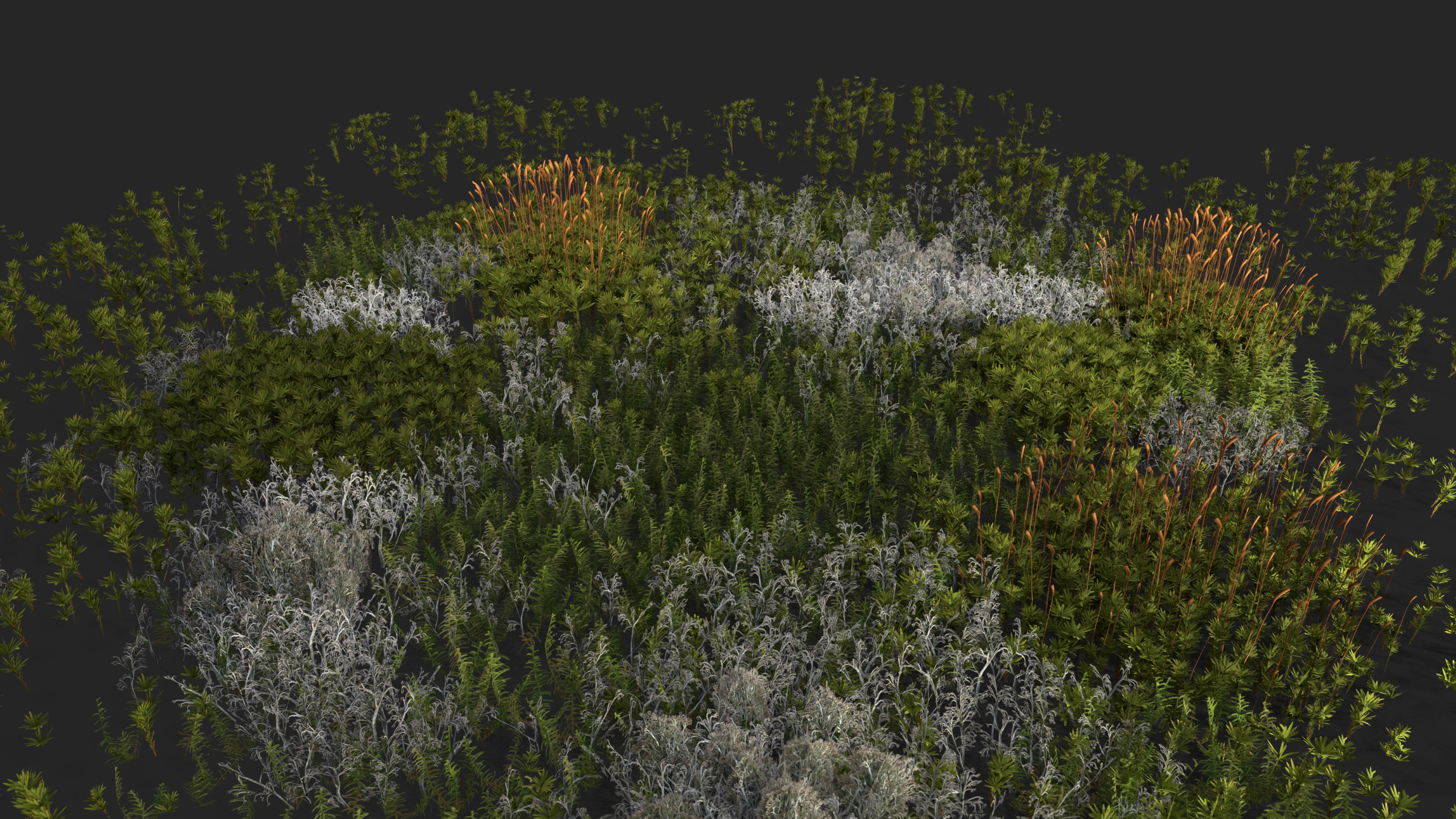 Moss and lichens Low-poly 3D model_2