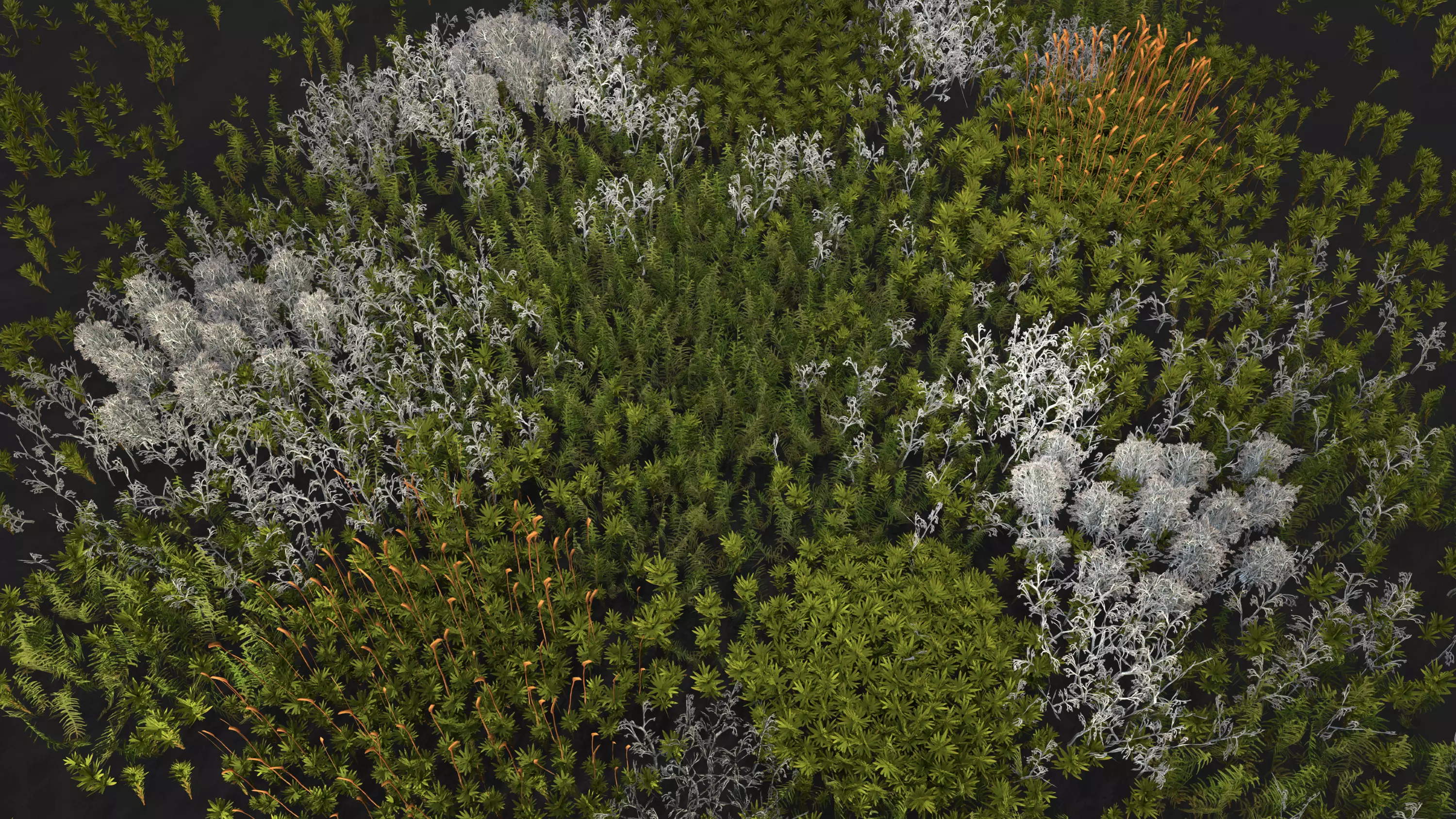 Moss and lichens Low-poly 3D model_0