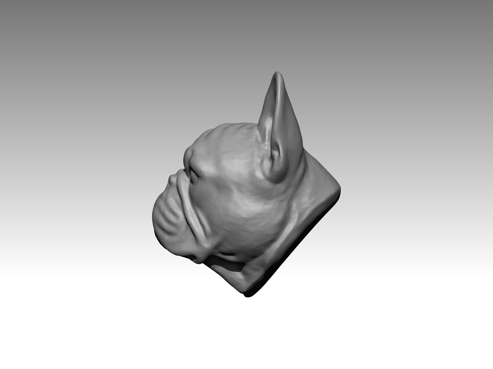  bulldog  statue 3D print model_3