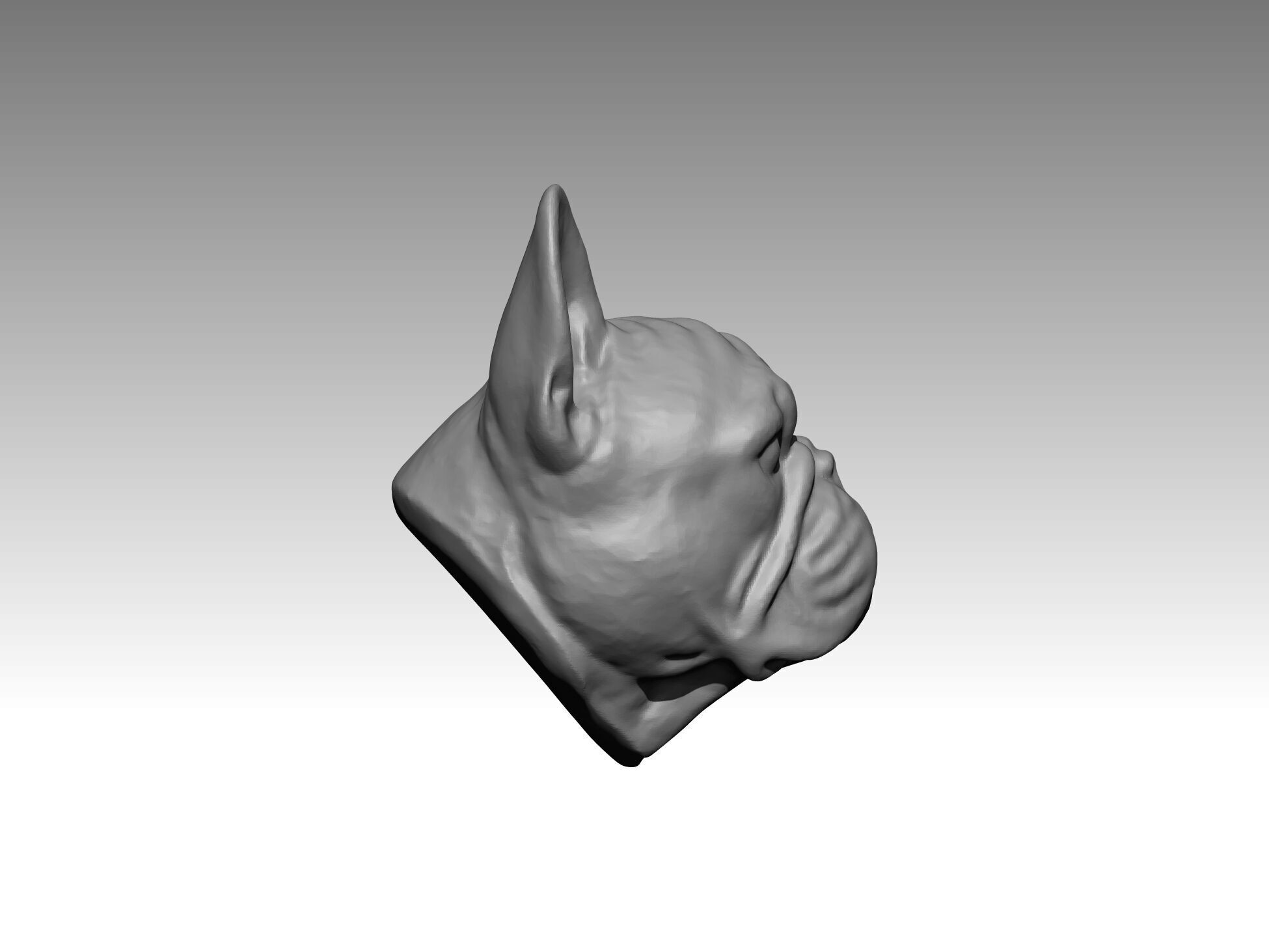  bulldog  statue 3D print model_5