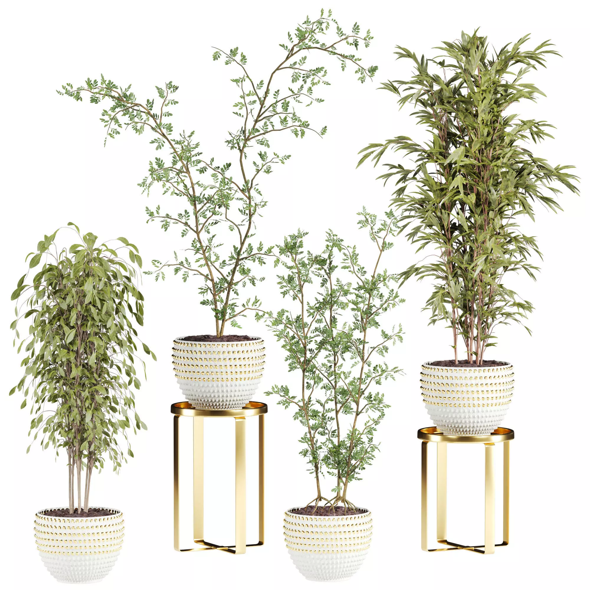 Plants Set 3D model_0