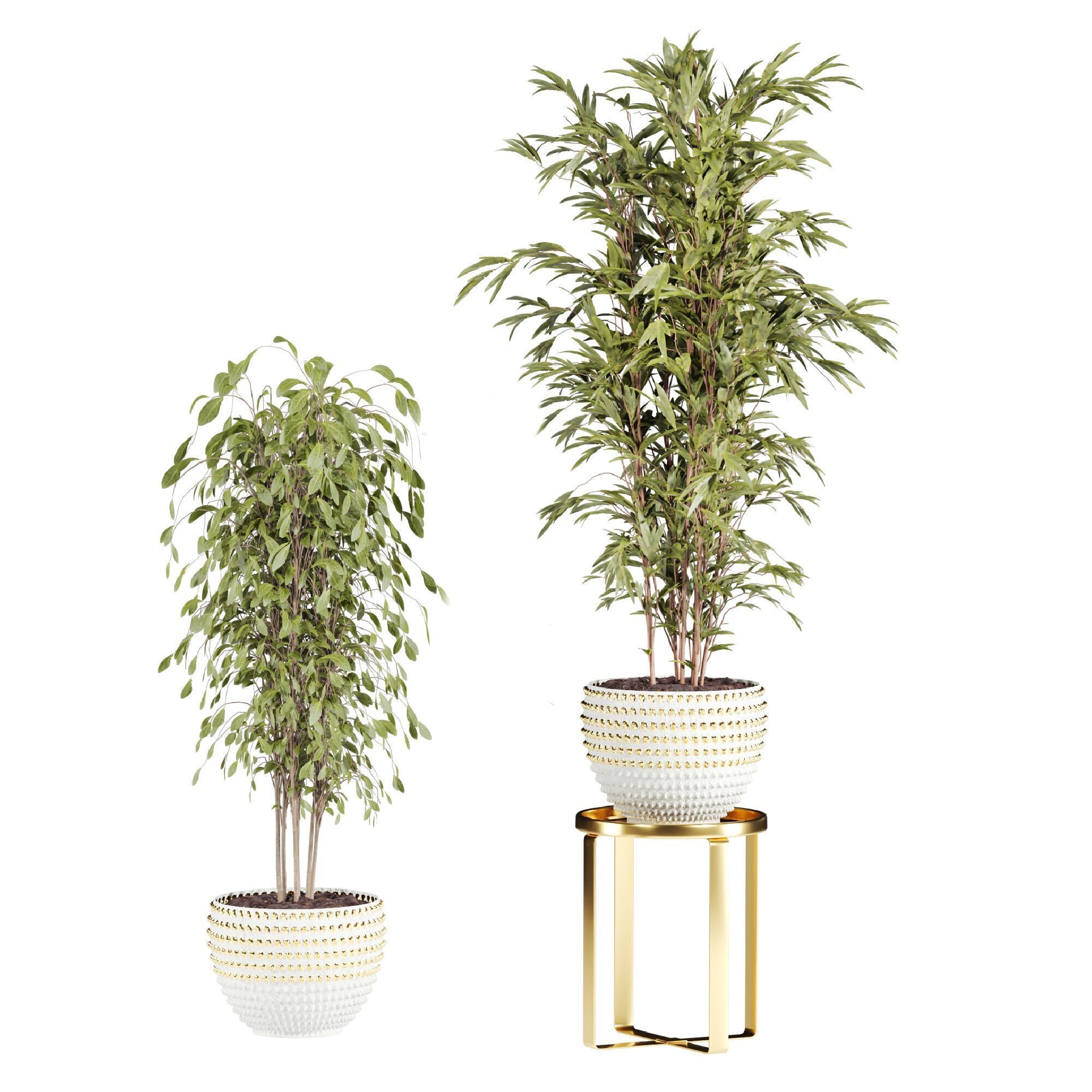 Plants Set 3D model_2