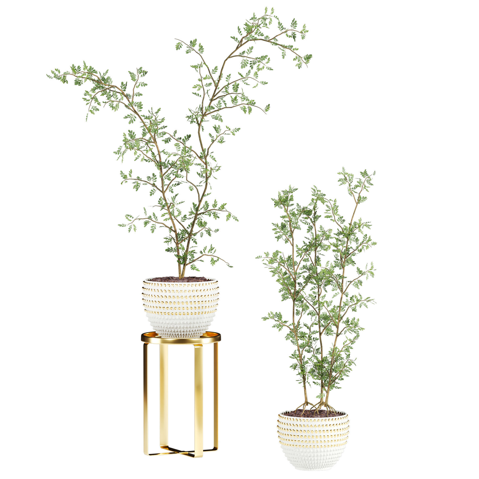 Plants Set 3D model_1