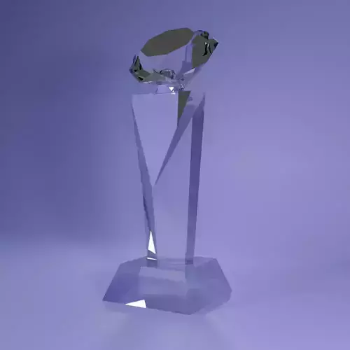 Crystal momento awards