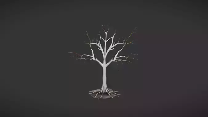 A white tree with exposed roots