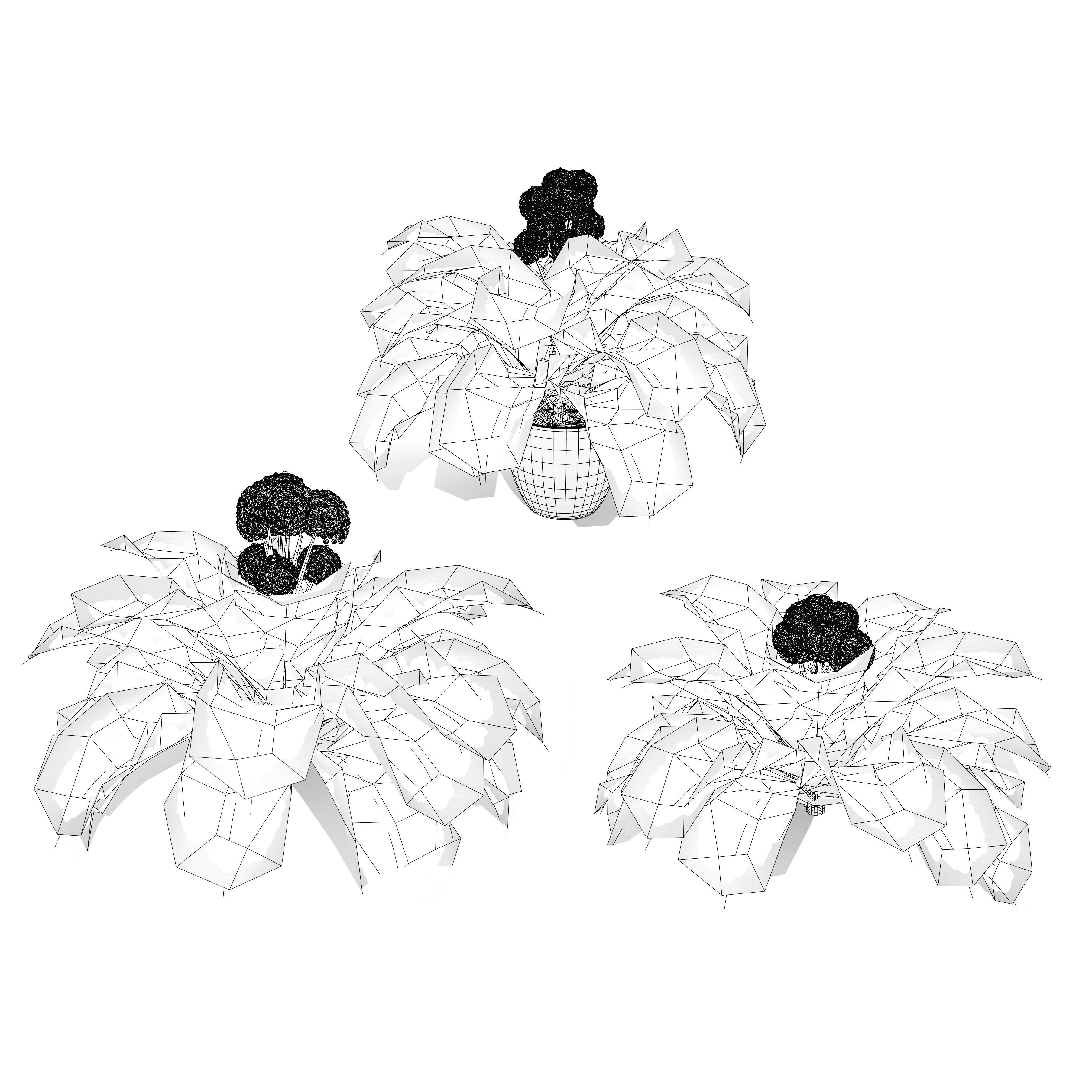 3D Broccoli Plants Low-poly 3D model_8