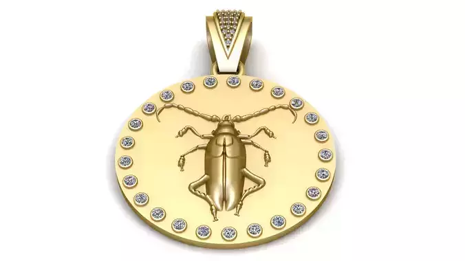 INSECT COIN PENDANT 3D PRINTABLE MODEL 3D print model