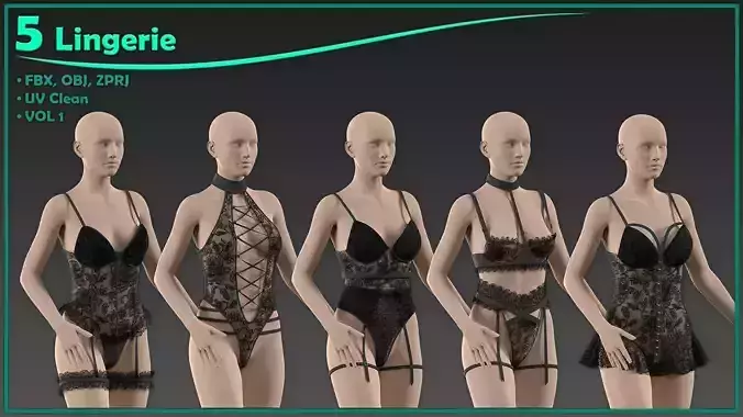 5 lingerie 3D model