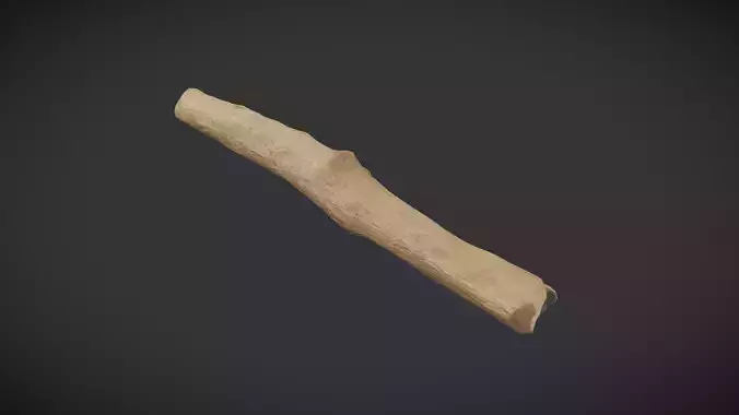 Wooden Stick