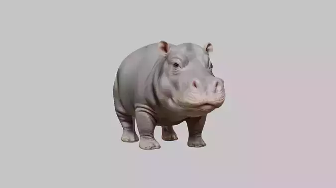 Realistic pygmy hippo Moodeng hippopotamus