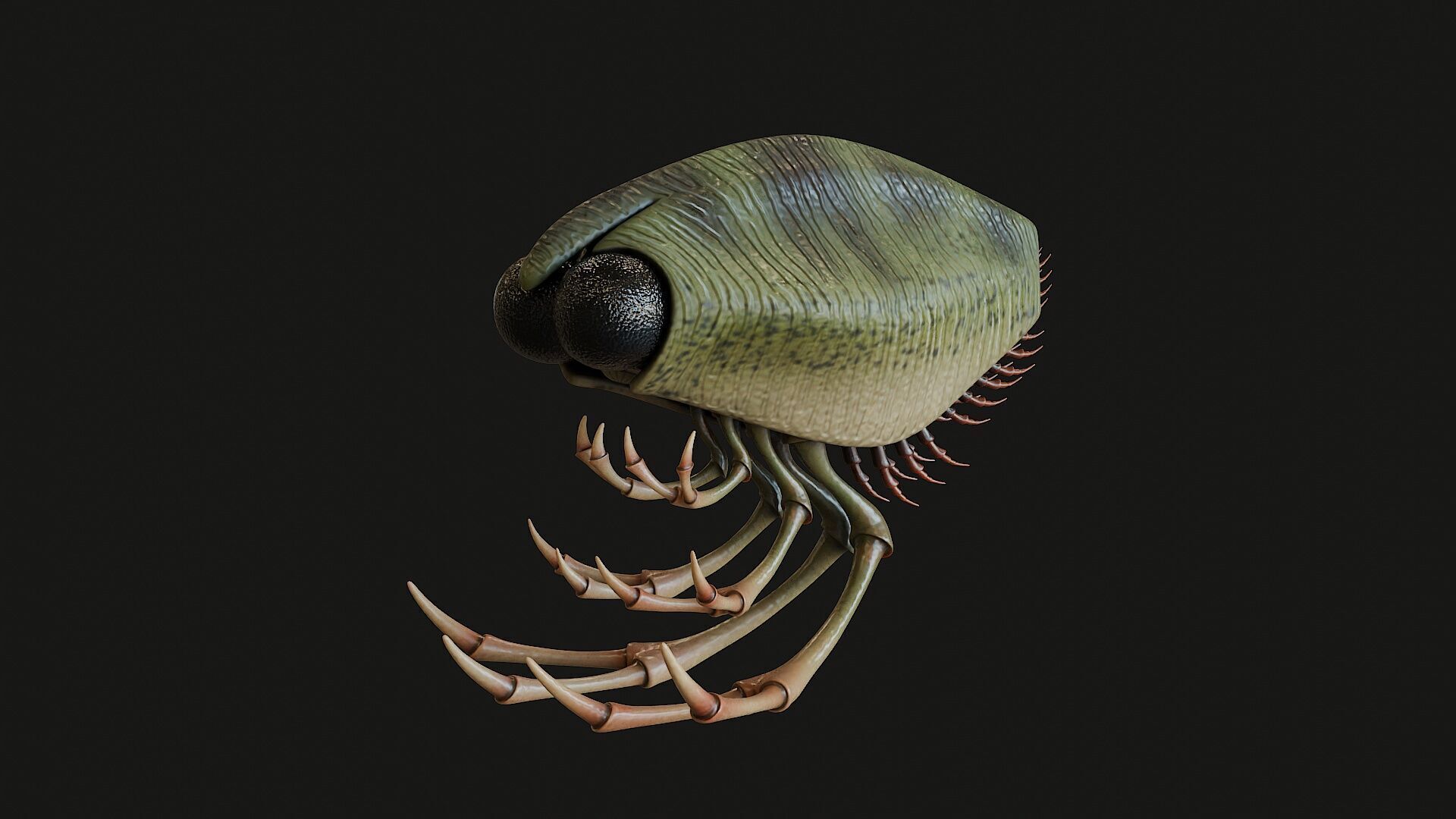 Thylacocephala 3D model_2