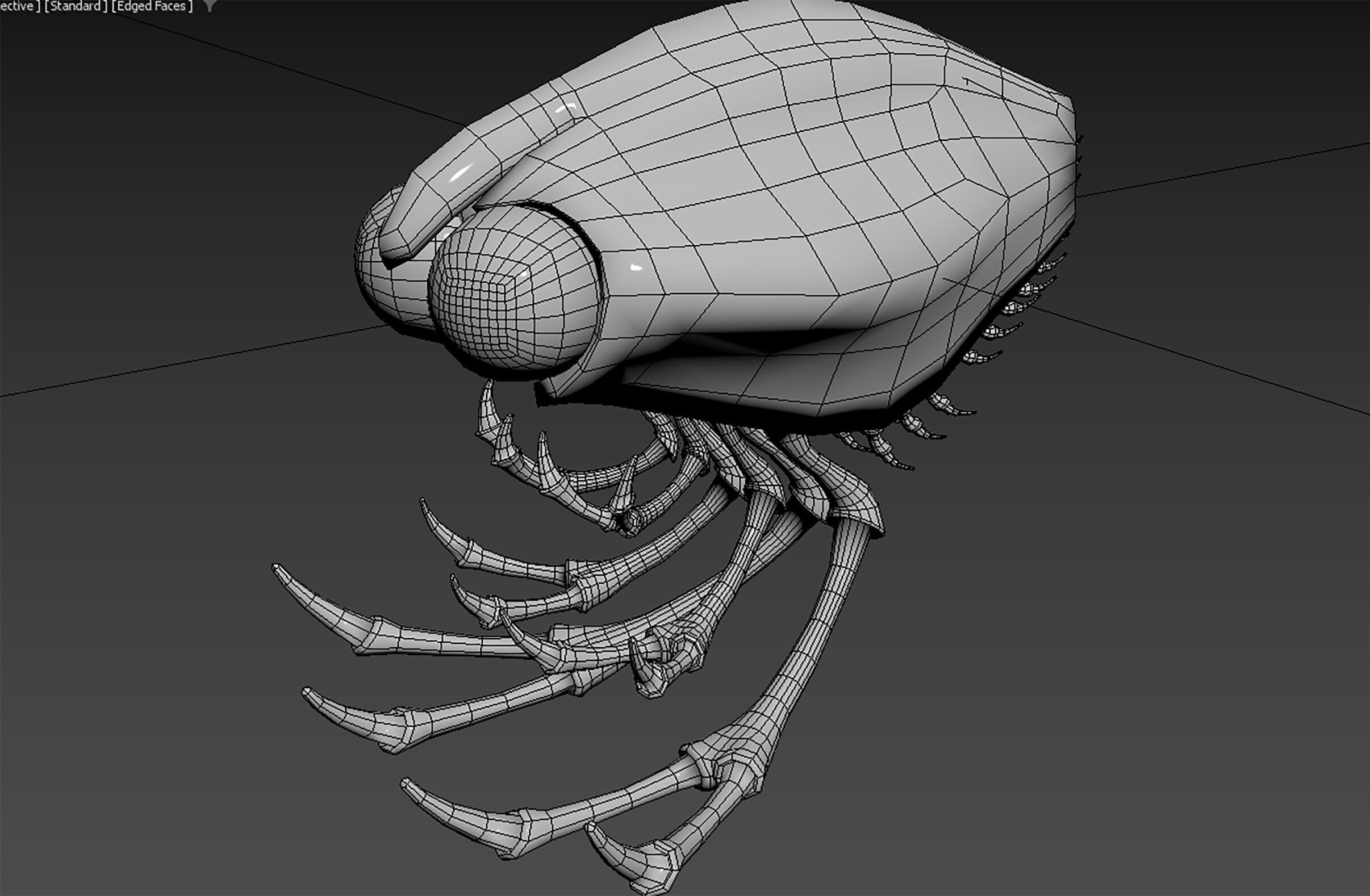 Thylacocephala 3D model_5