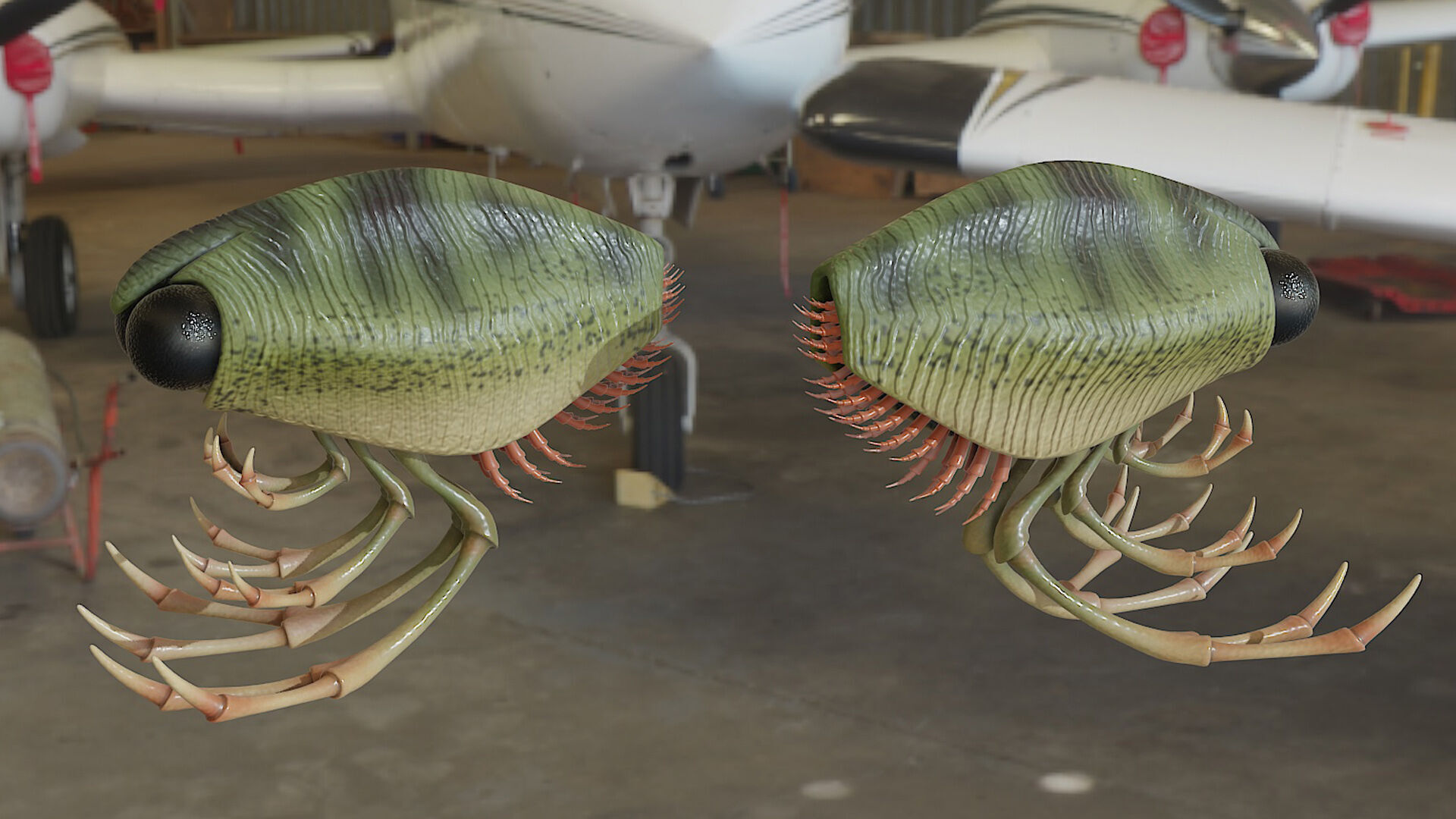 Thylacocephala 3D model_1