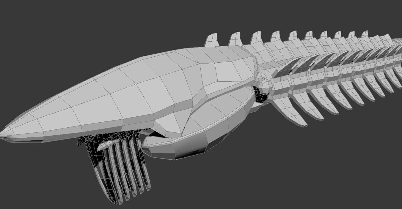 Aegirocassis benmoulae 3D model_6