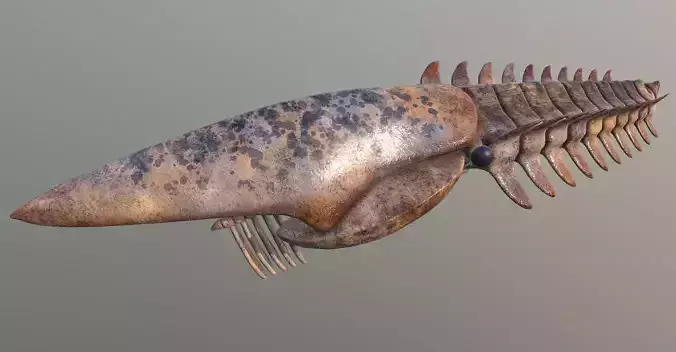 Aegirocassis benmoulae 3D model
