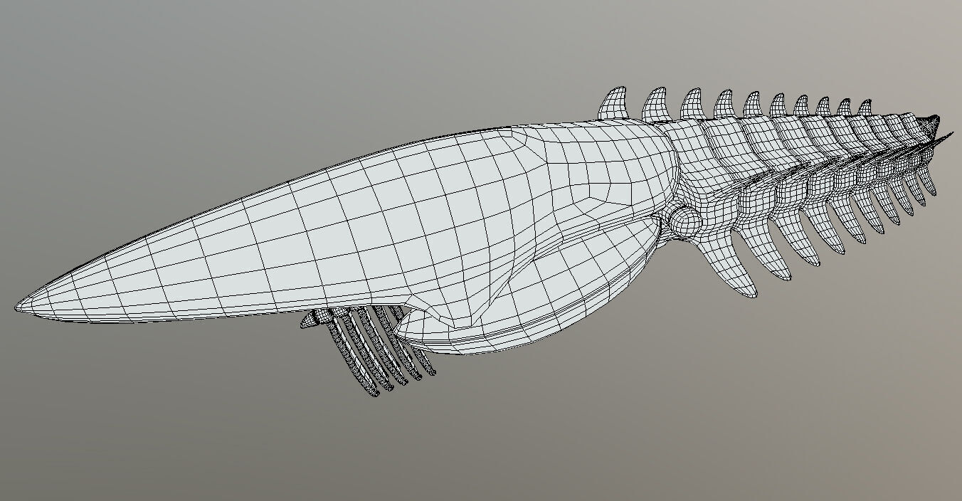 Aegirocassis benmoulae 3D model_5