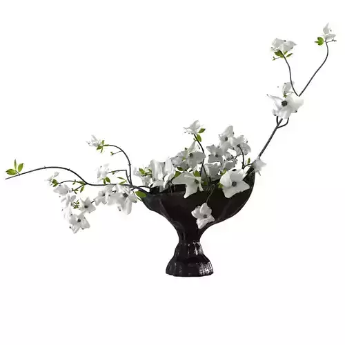 White flowers plant in black vase