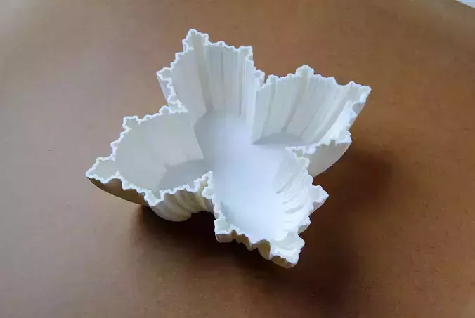 Fractal Bowl October 3D print model