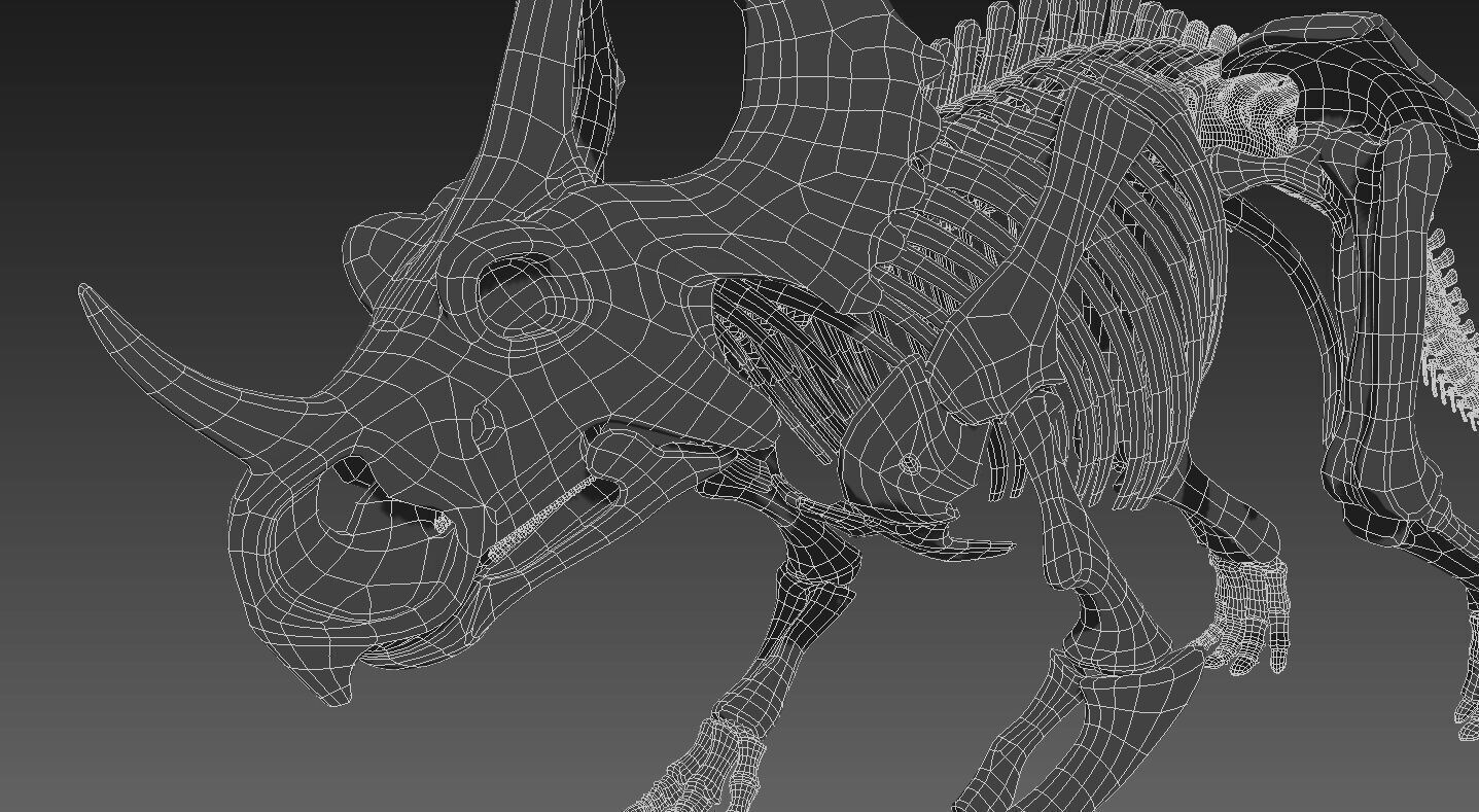 Styracosaurus skeleton 3D model_4