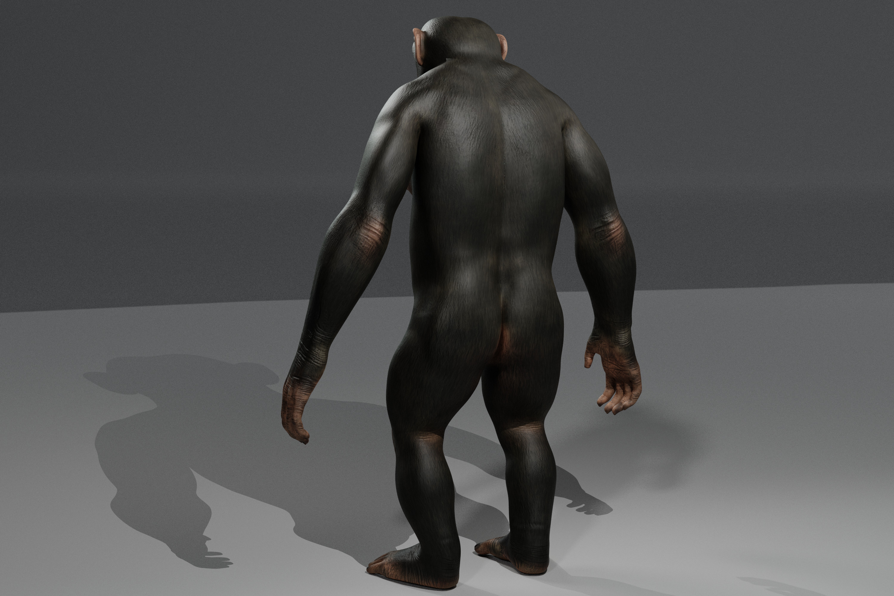 Chimpanzee 3D Game ready Character Low-poly 3D model_5