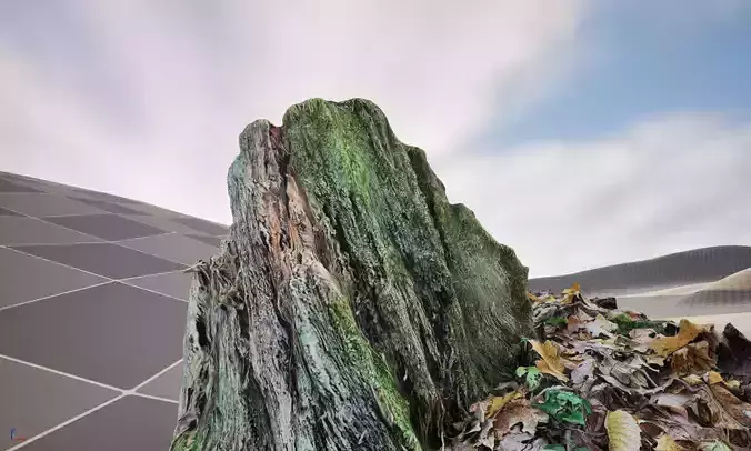 Tree stump 3D model