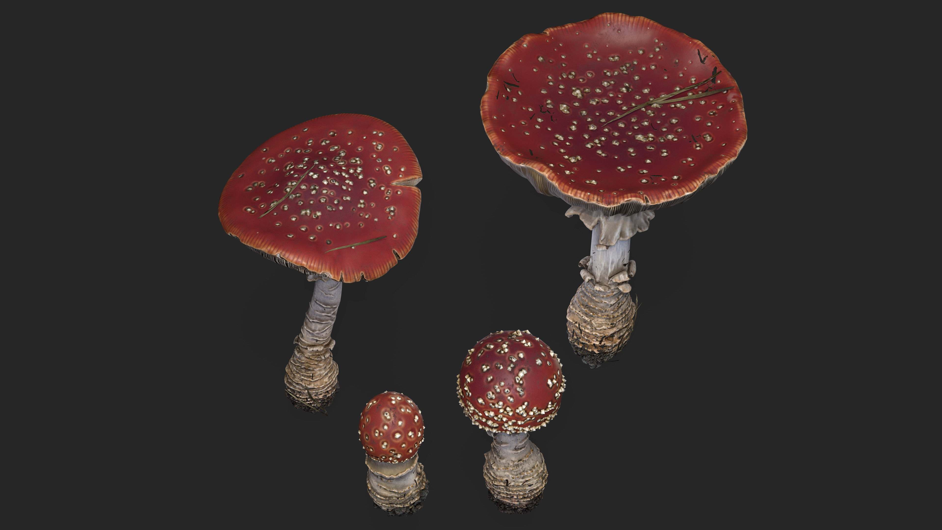 Fly agarics mushroom Low-poly 3D model_1