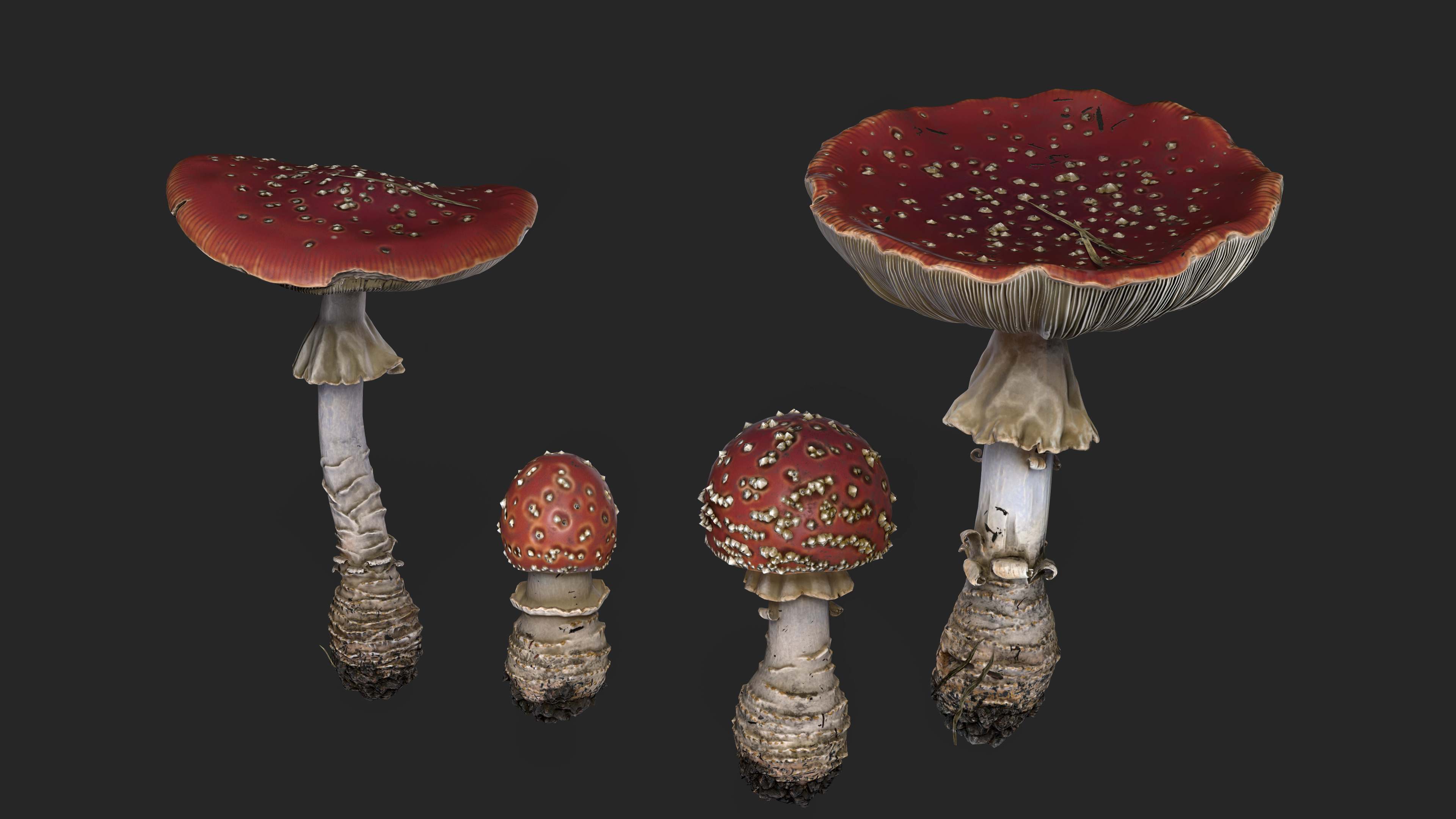 Fly agarics mushroom Low-poly 3D model_2