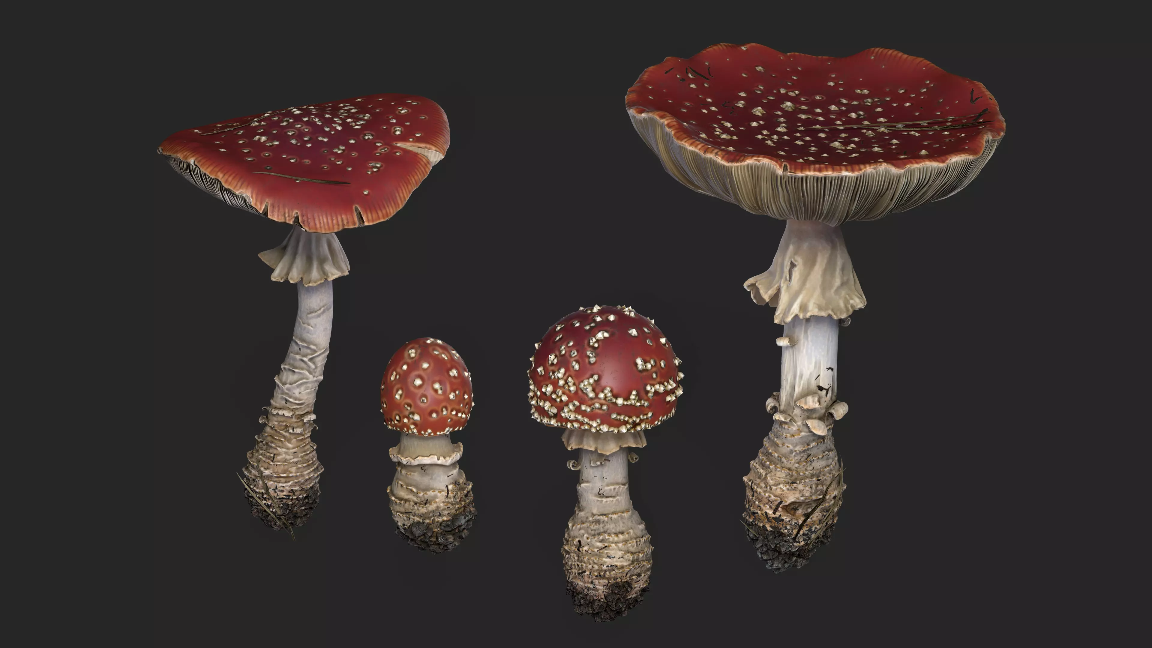 Fly agarics mushroom Low-poly 3D model_0