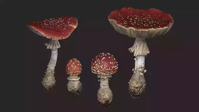 Fly agarics mushroom Low-poly 3D model
