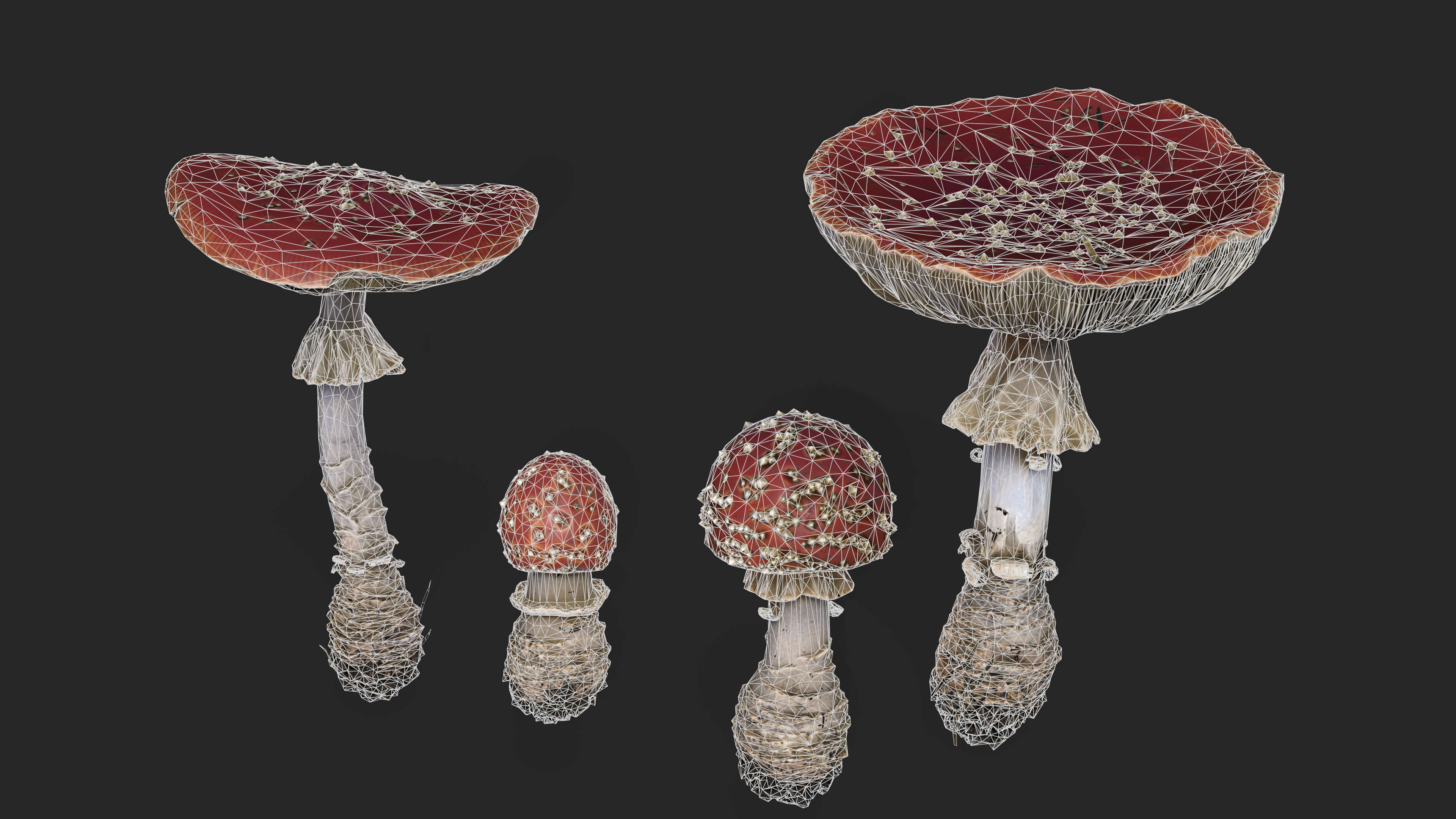 Fly agarics mushroom Low-poly 3D model_3